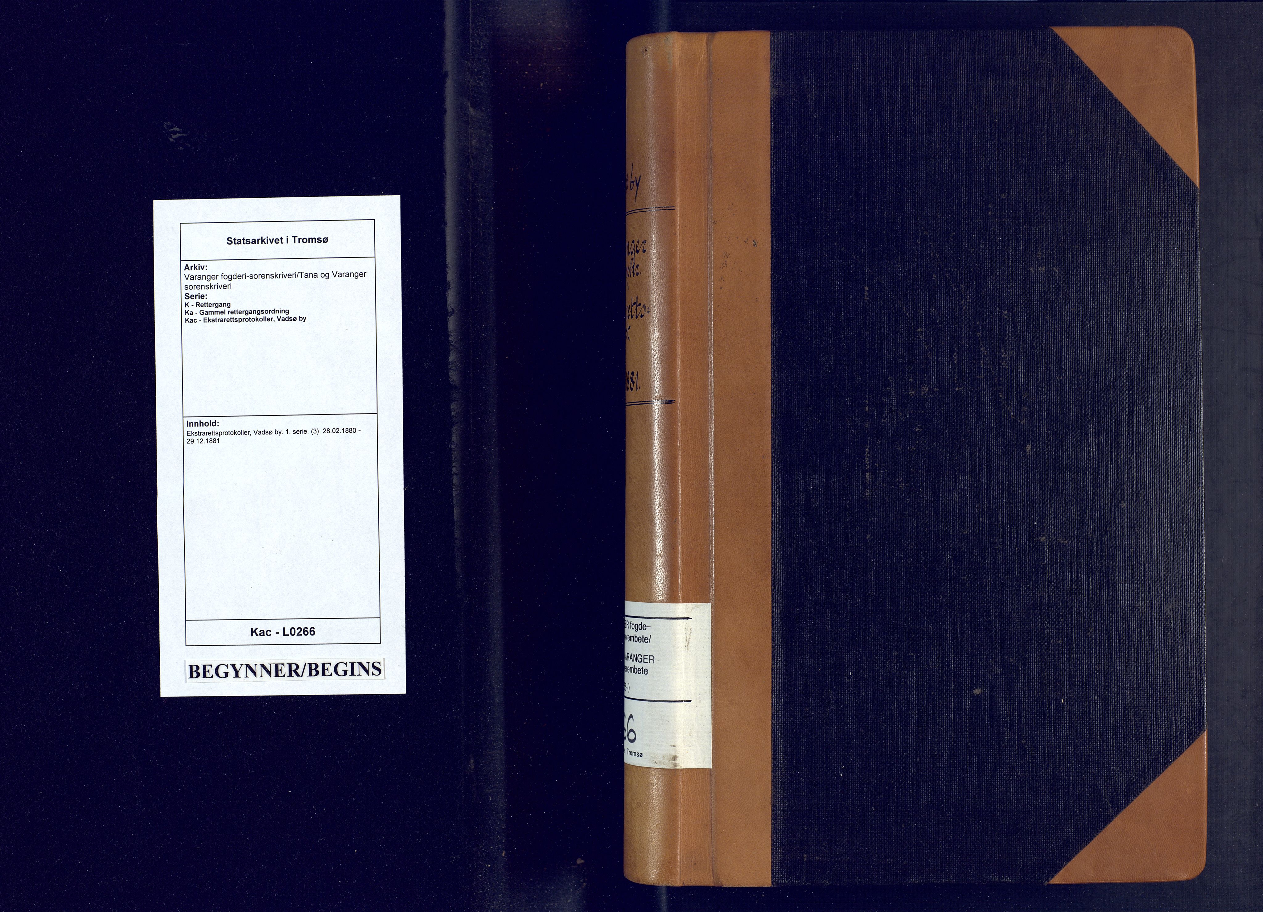 Varanger fogderi-sorenskriveri/Tana og Varanger sorenskriveri, AV/SATØ-S-0059/1/K/Ka/Kac/L0266: Ekstrarettsprotokoller, Vadsø by. 1. serie. (3), 1880-1881