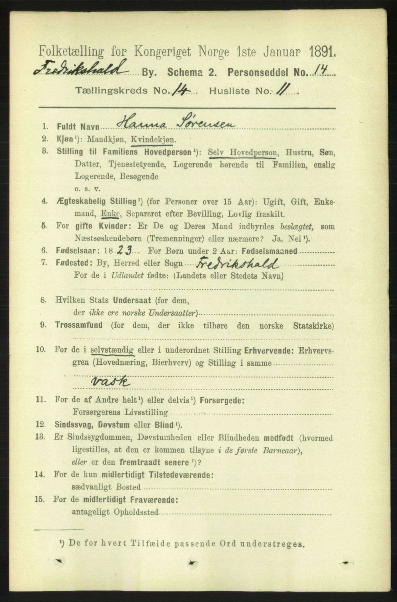 RA, 1891 census for 0101 Fredrikshald, 1891, p. 9183