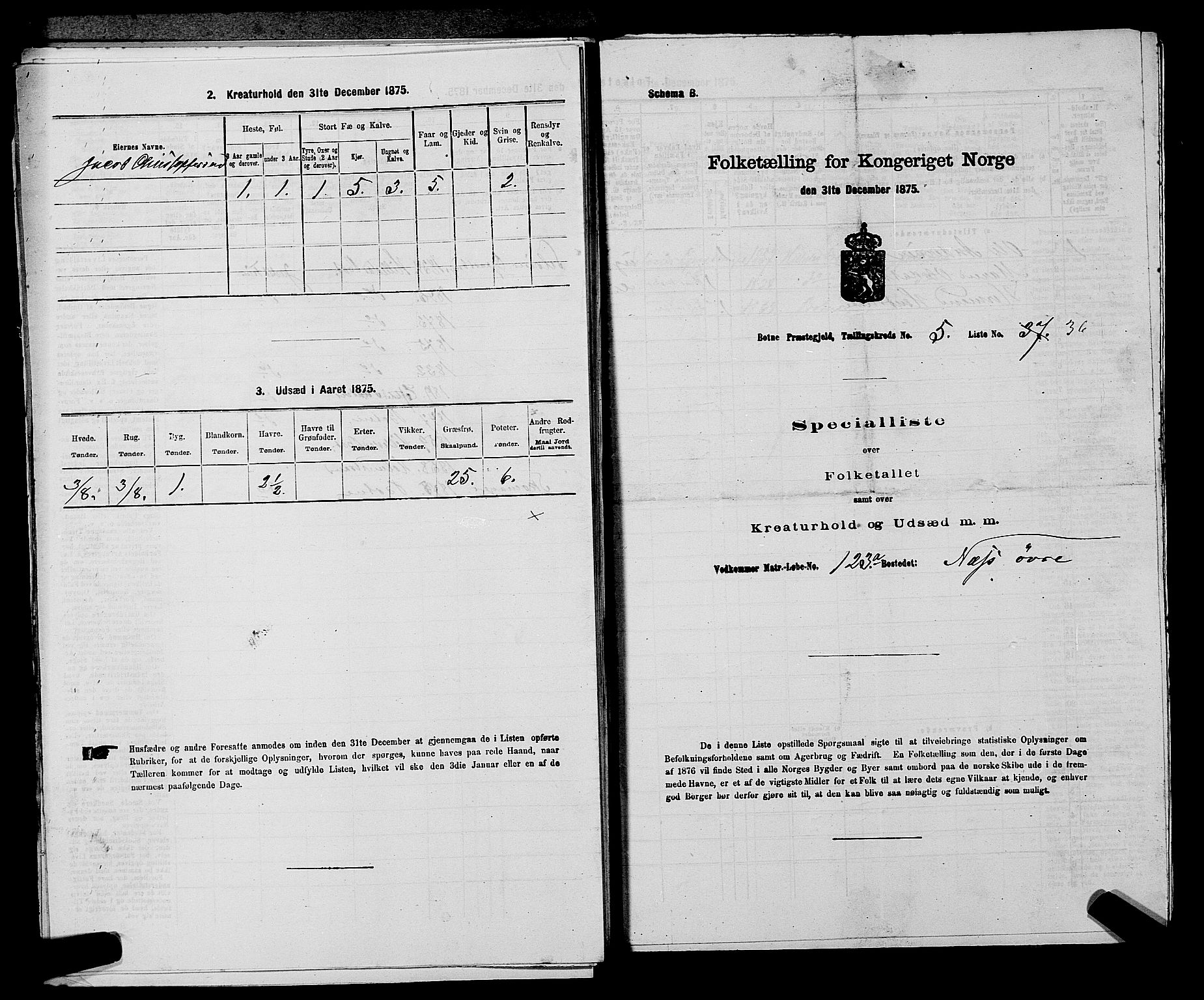 SAKO, 1875 census for 0715P Botne, 1875, p. 460