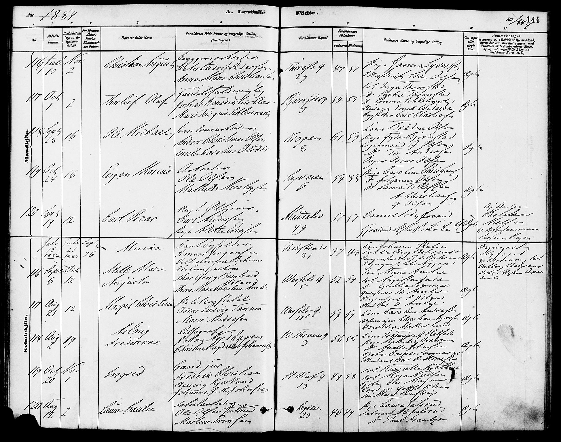 Gamle Aker prestekontor Kirkebøker, SAO/A-10617a/F/L0006: Parish register (official) no. 6, 1880-1887, p. 144