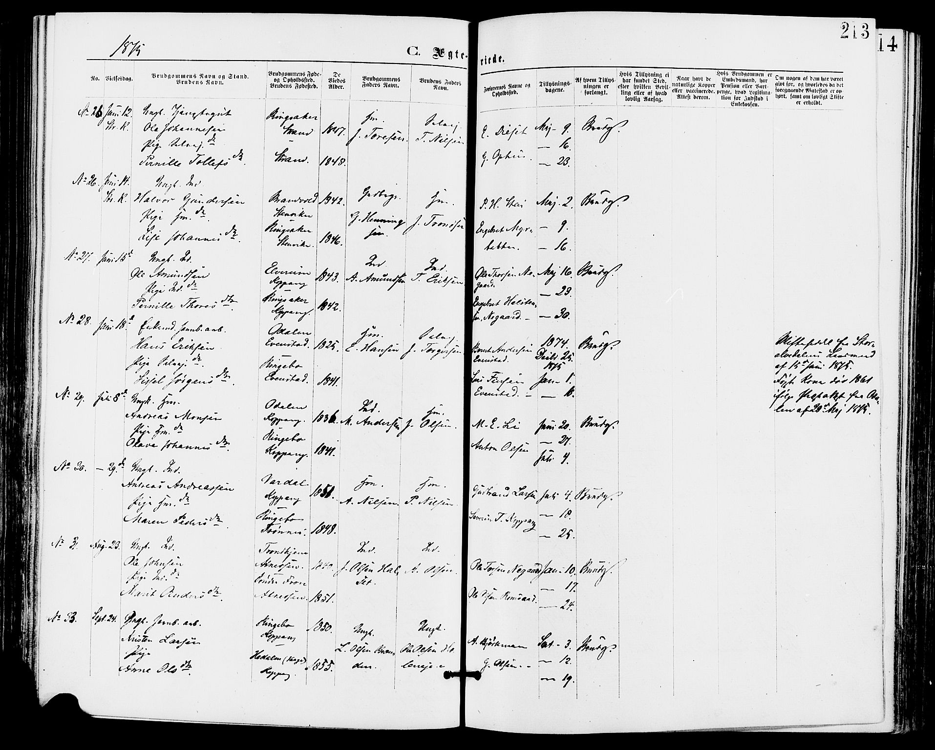 Stor-Elvdal prestekontor, AV/SAH-PREST-052/H/Ha/Haa/L0001: Parish register (official) no. 1, 1871-1882, p. 213