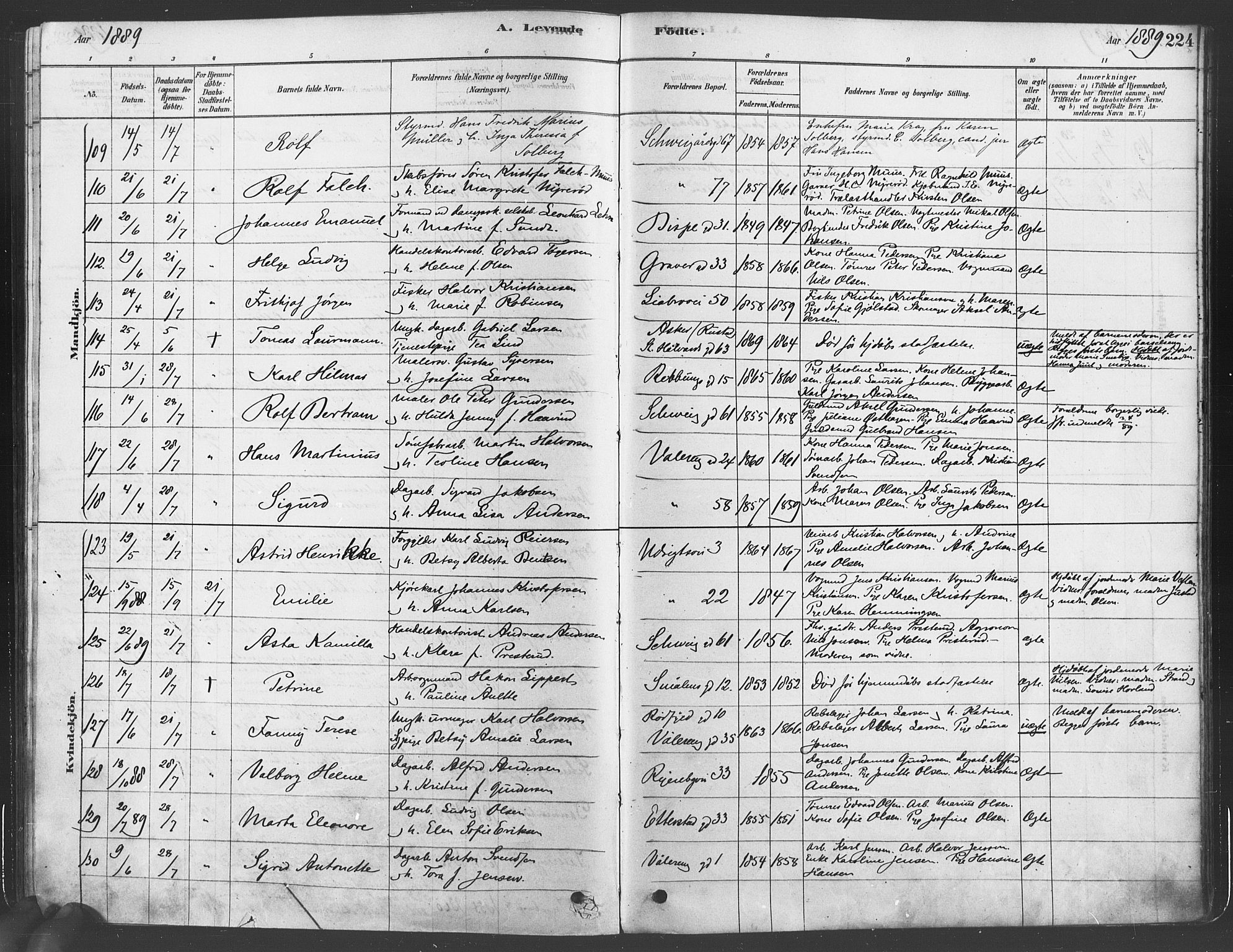 Gamlebyen prestekontor Kirkebøker, SAO/A-10884/F/Fa/L0005: Parish register (official) no. 5, 1878-1889, p. 224