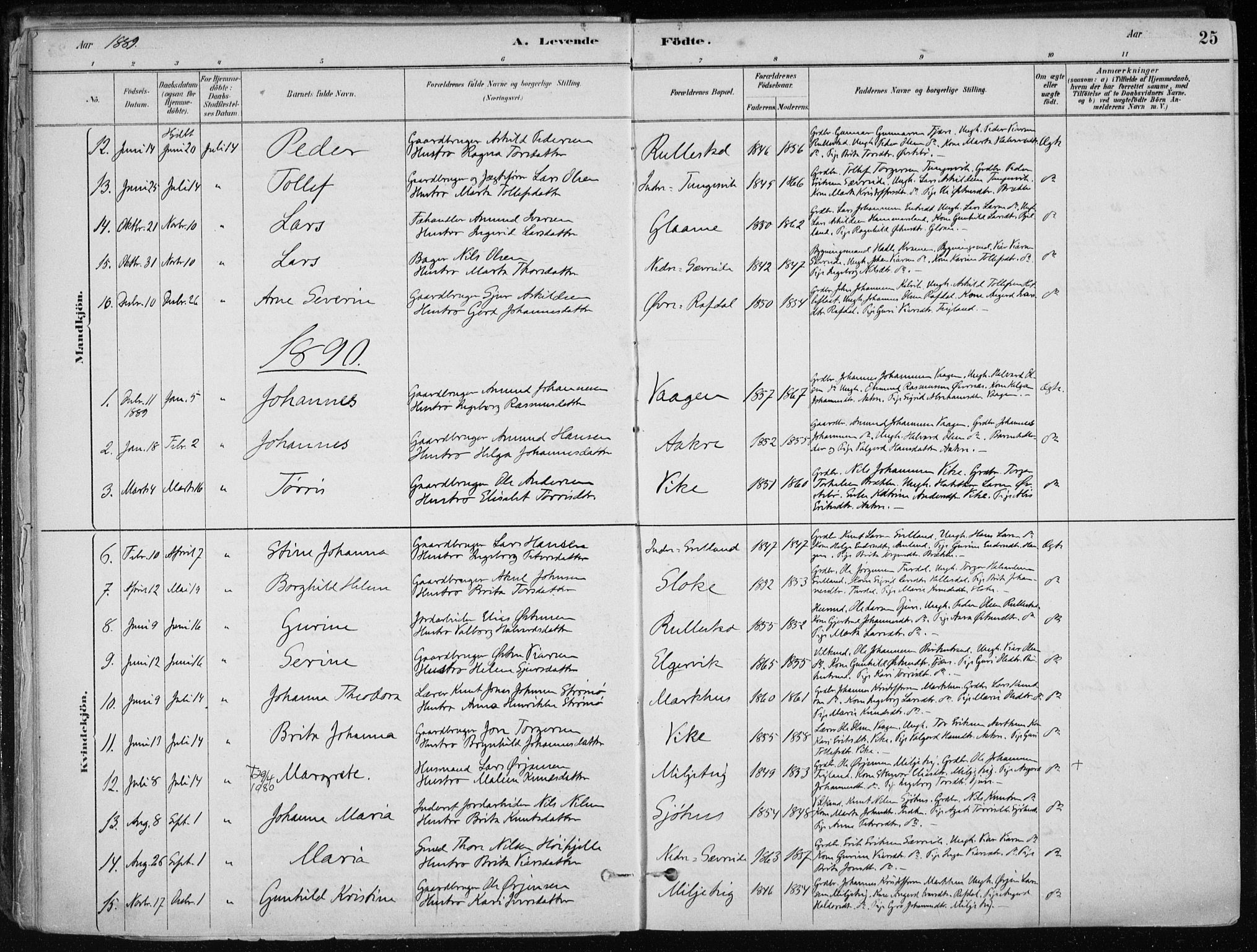 Skånevik sokneprestembete, SAB/A-77801/H/Haa: Parish register (official) no. E  1, 1879-1901, p. 25