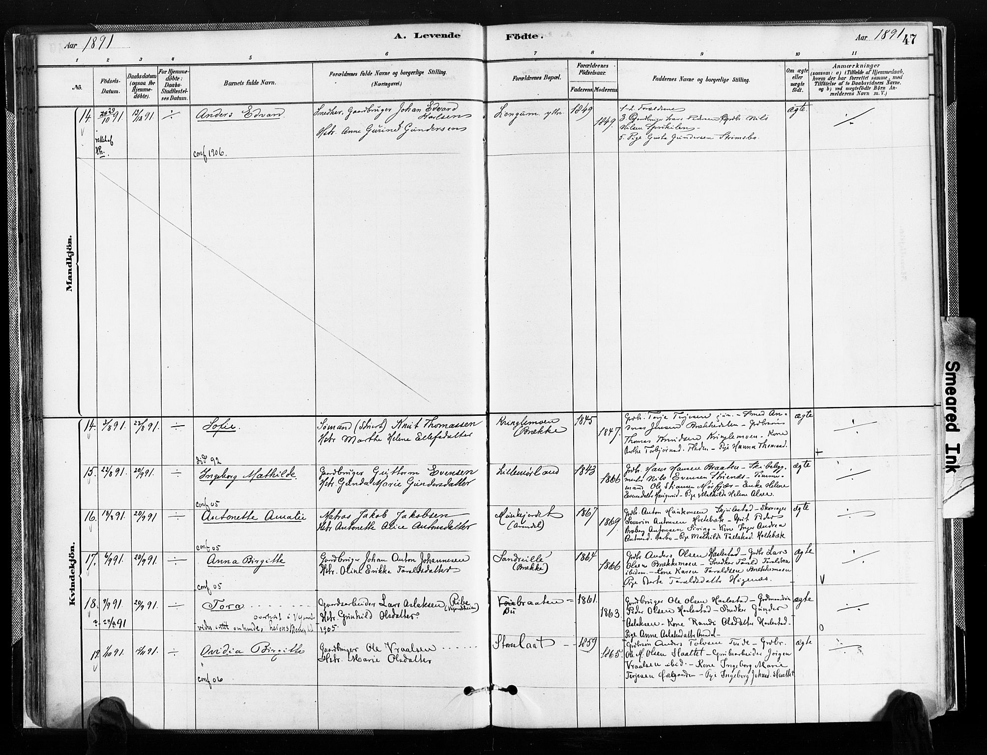 Austre Moland sokneprestkontor, SAK/1111-0001/F/Fa/Faa/L0010: Parish register (official) no. A 10, 1880-1904, p. 47
