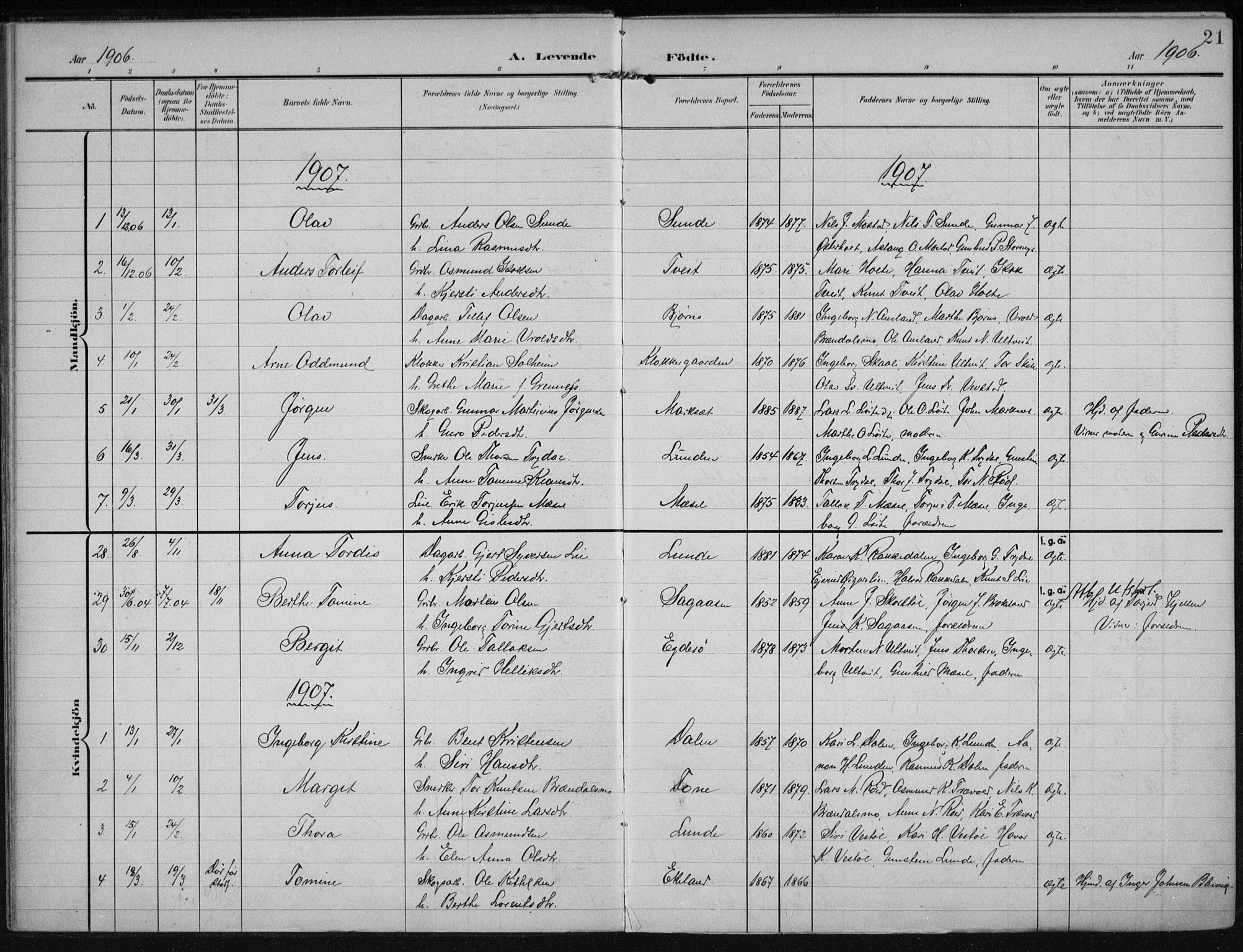 Gjerstad sokneprestkontor, AV/SAK-1111-0014/F/Fa/Faa/L0011: Parish register (official) no. A 11, 1903-1914, p. 21