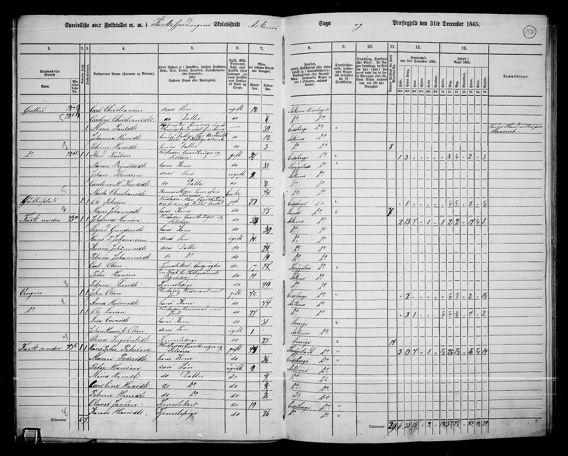 RA, 1865 census for Askim, 1865, p. 13