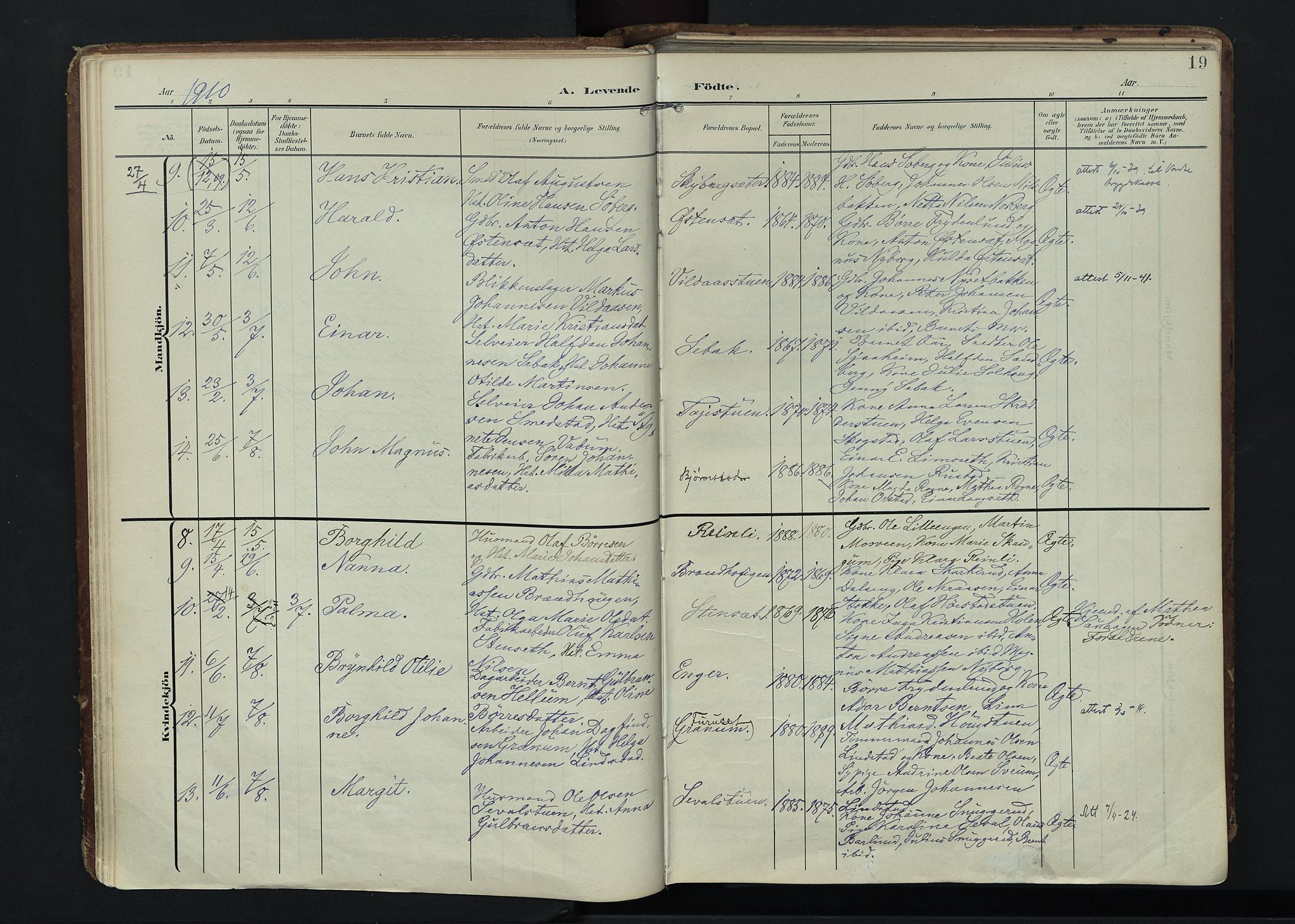 Vardal prestekontor, SAH/PREST-100/H/Ha/Haa/L0020: Parish register (official) no. 20, 1907-1921, p. 19