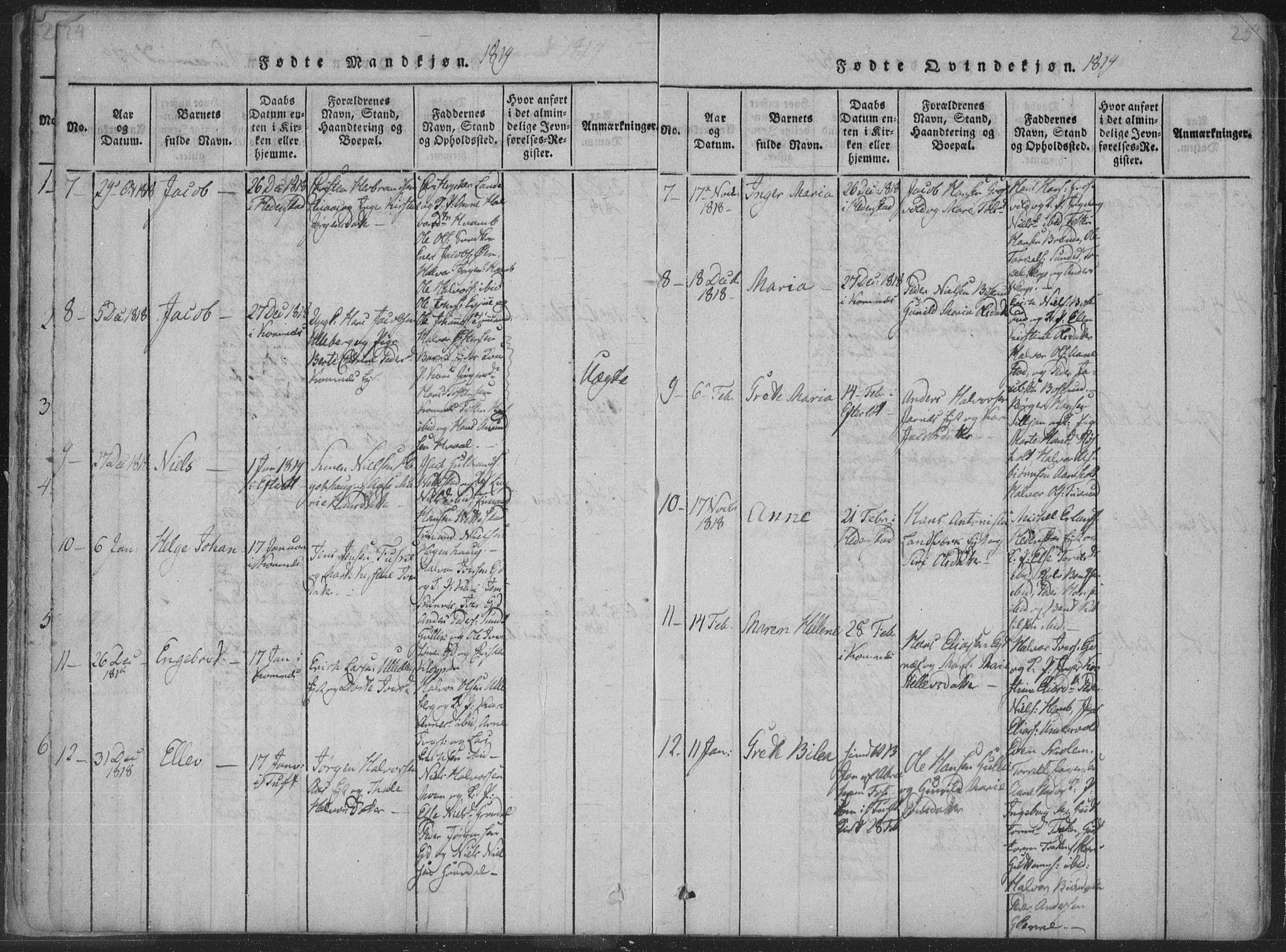 Sandsvær kirkebøker, AV/SAKO-A-244/F/Fa/L0004: Parish register (official) no. I 4, 1817-1839, p. 24-25