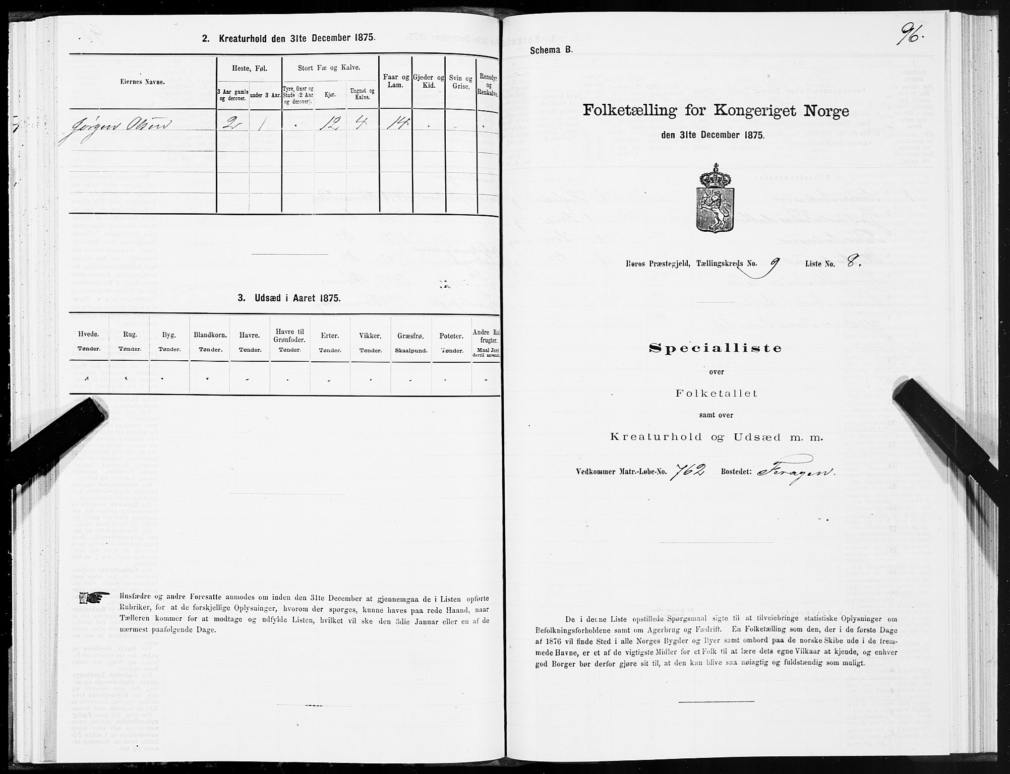 SAT, 1875 census for 1640P Røros, 1875, p. 5096