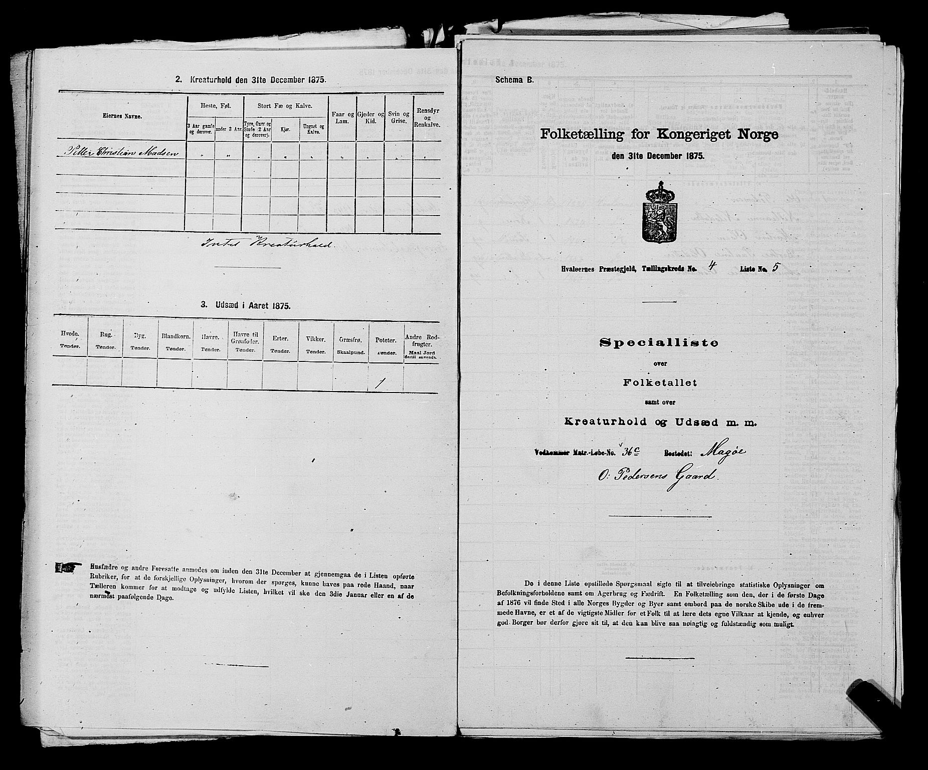 RA, 1875 census for 0111P Hvaler, 1875, p. 580