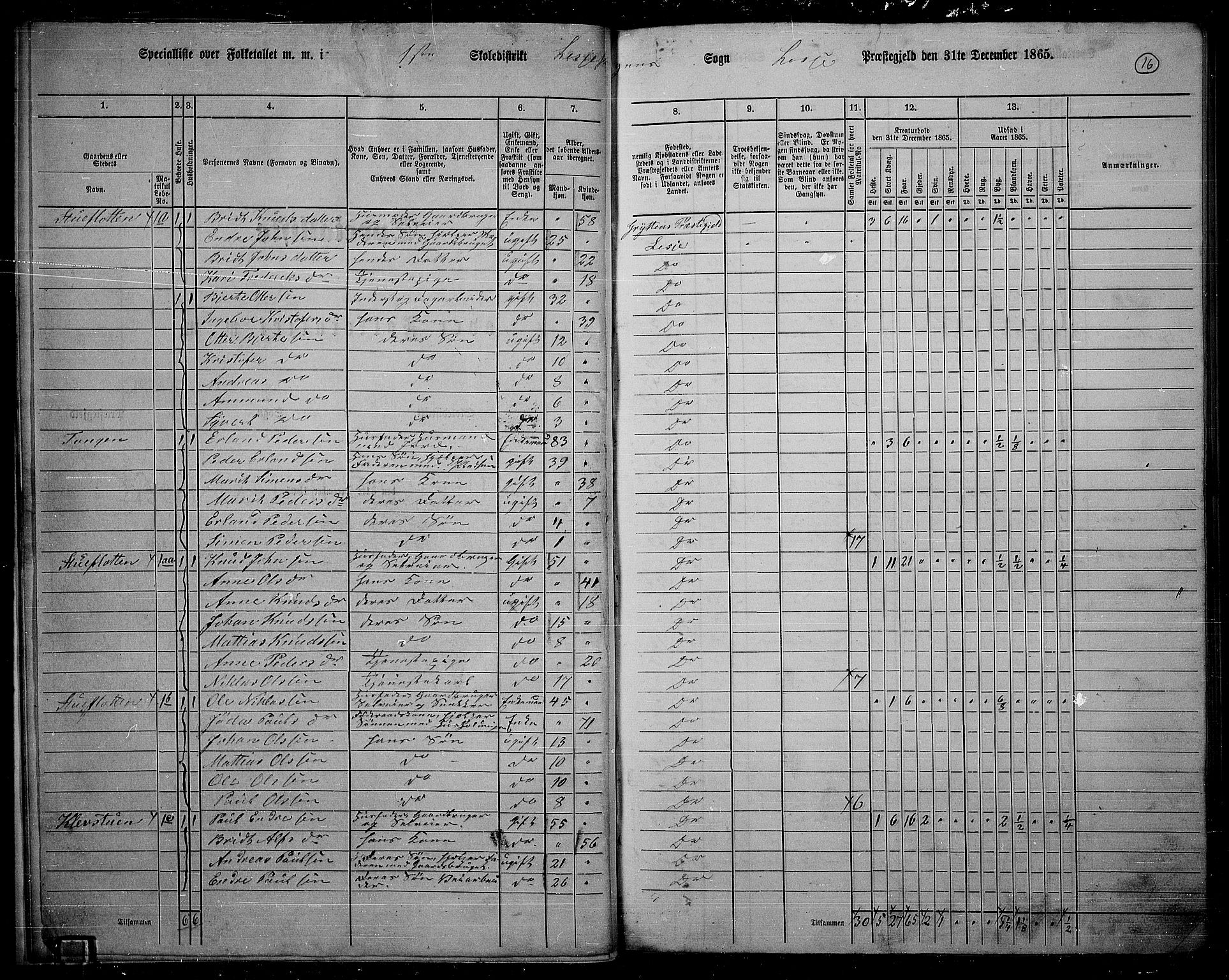 RA, 1865 census for Lesja, 1865, p. 17