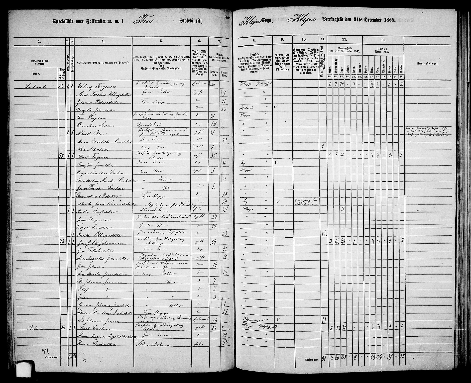 RA, 1865 census for Klepp, 1865, p. 42