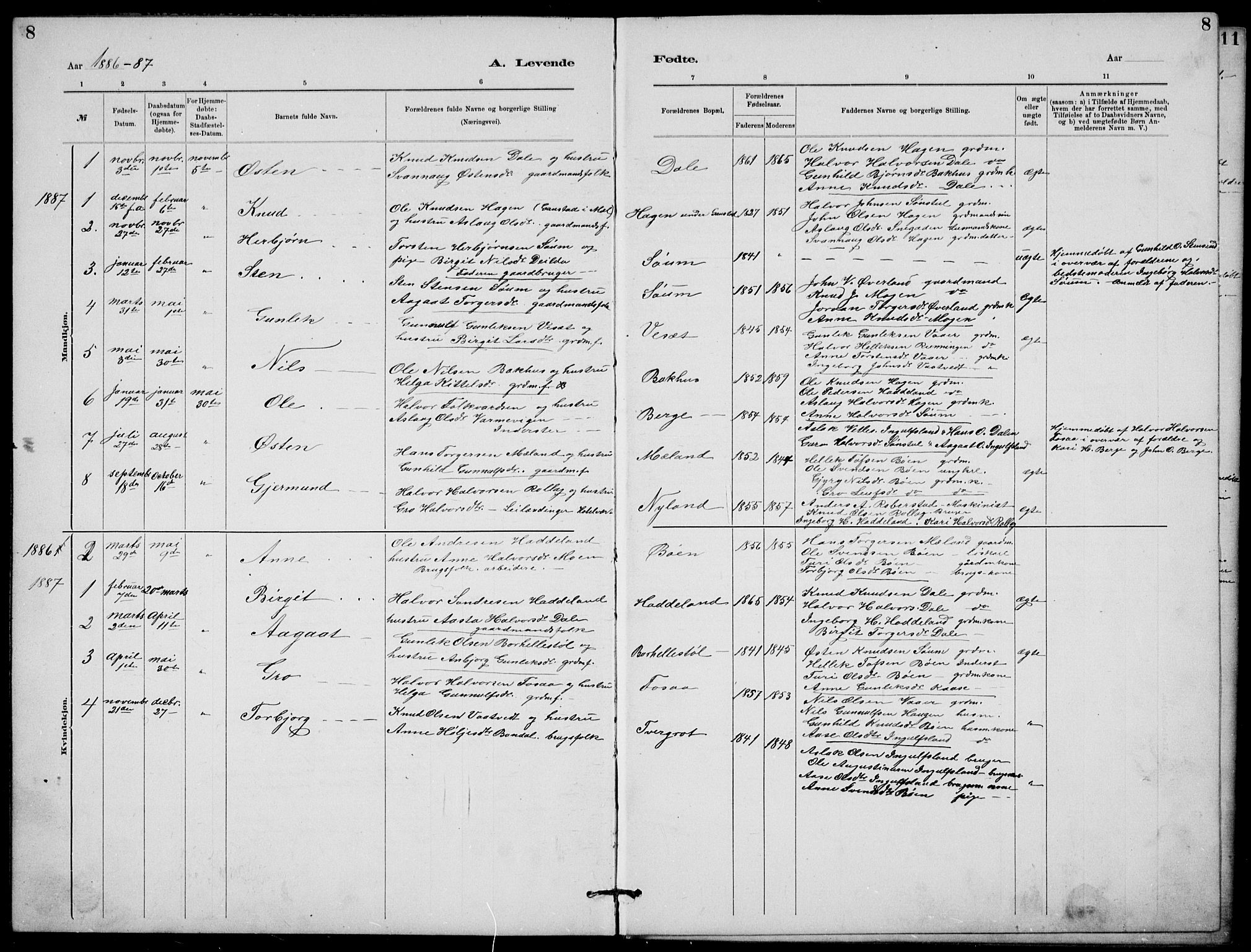 Rjukan kirkebøker, SAKO/A-294/G/Ga/L0001: Parish register (copy) no. 1, 1880-1914, p. 8