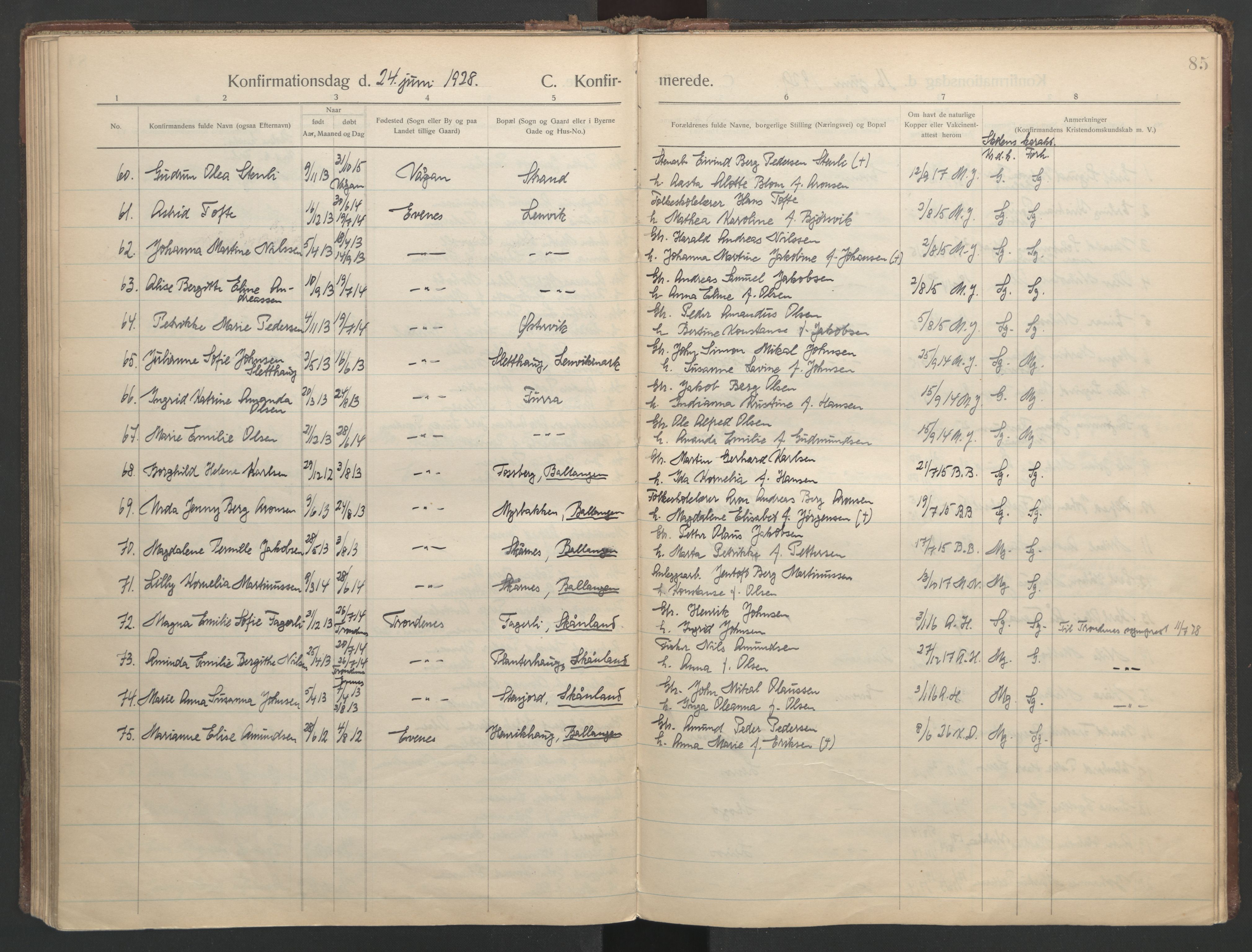 Ministerialprotokoller, klokkerbøker og fødselsregistre - Nordland, AV/SAT-A-1459/863/L0901: Parish register (official) no. 863A13, 1906-1934, p. 85