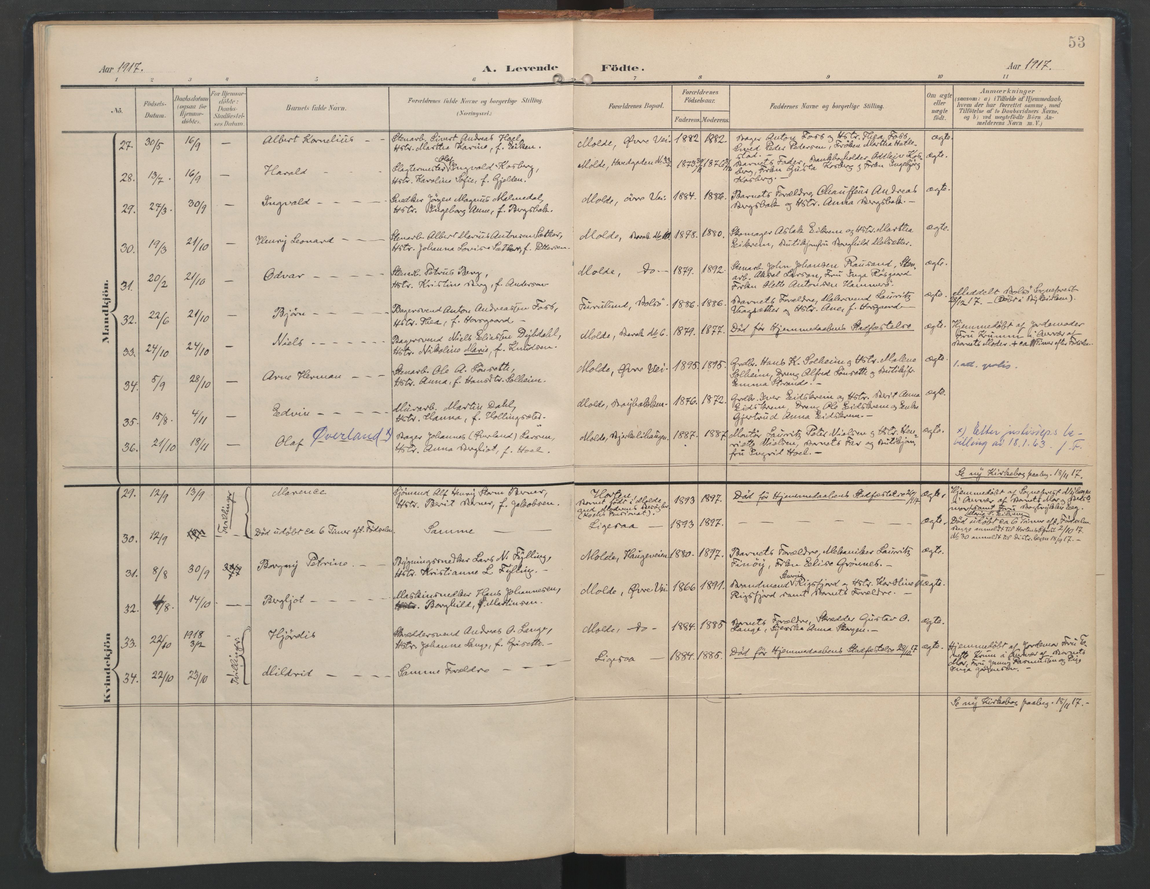 Ministerialprotokoller, klokkerbøker og fødselsregistre - Møre og Romsdal, AV/SAT-A-1454/558/L0693: Parish register (official) no. 558A07, 1903-1917, p. 53