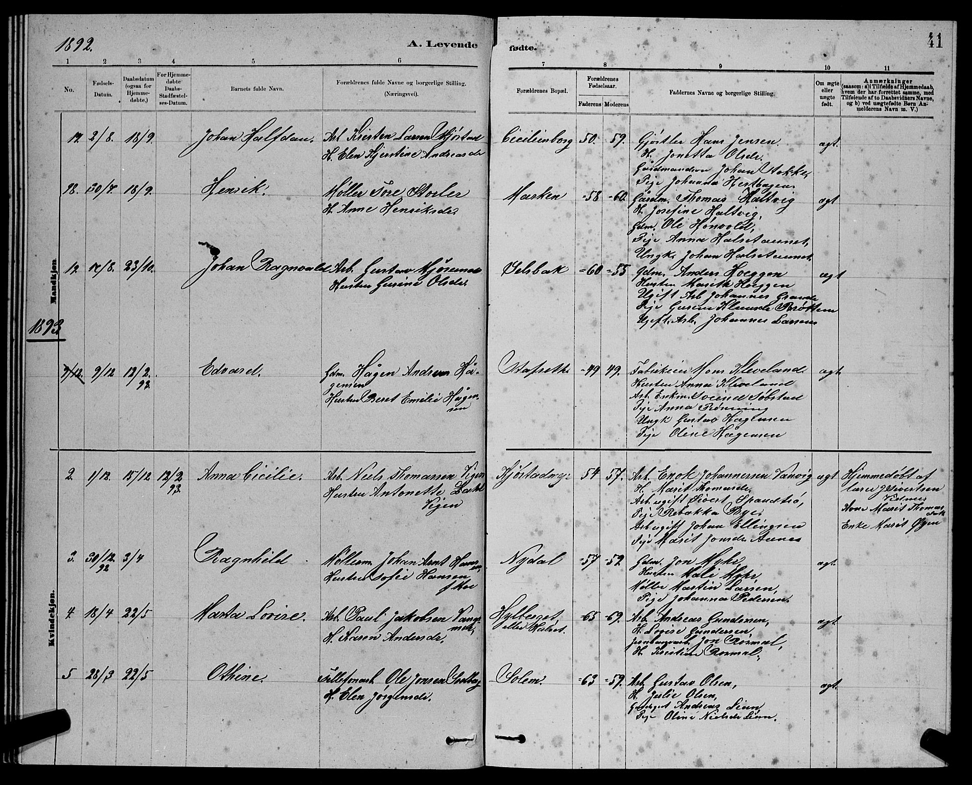 Ministerialprotokoller, klokkerbøker og fødselsregistre - Sør-Trøndelag, SAT/A-1456/611/L0354: Parish register (copy) no. 611C02, 1881-1896, p. 41