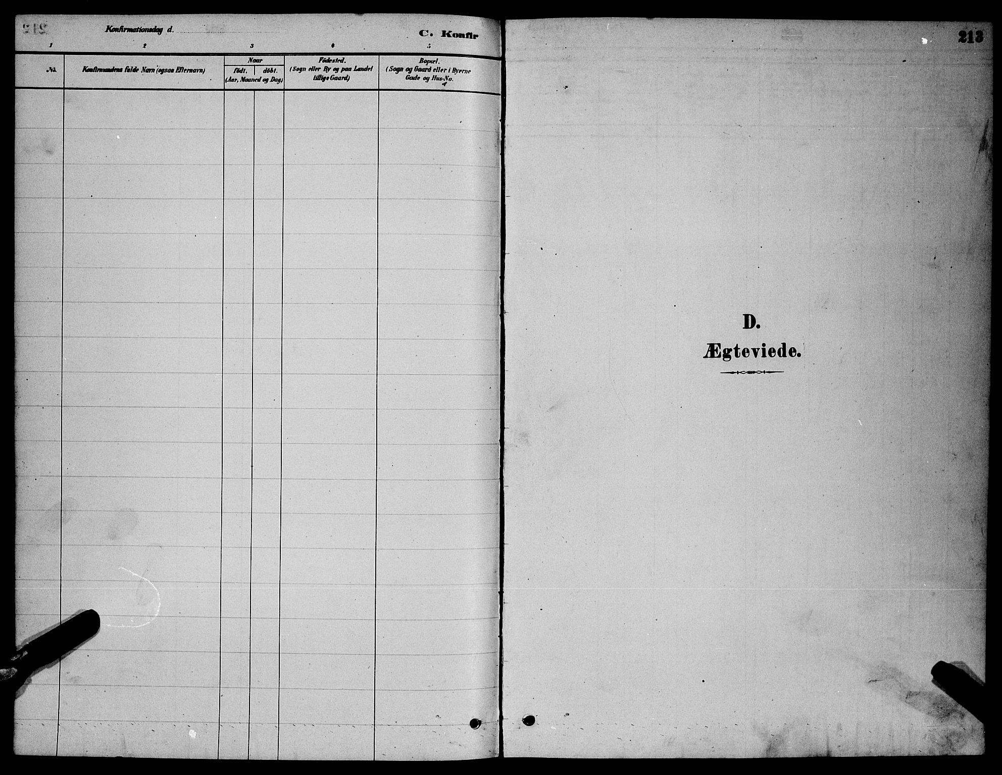 Ministerialprotokoller, klokkerbøker og fødselsregistre - Nordland, SAT/A-1459/855/L0816: Parish register (copy) no. 855C05, 1879-1894, p. 213
