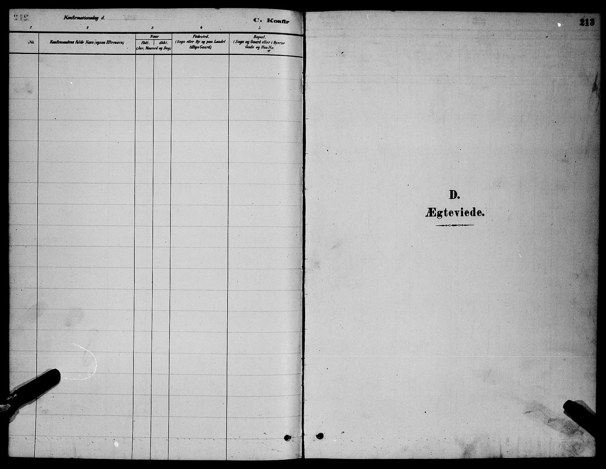 Ministerialprotokoller, klokkerbøker og fødselsregistre - Nordland, AV/SAT-A-1459/855/L0816: Parish register (copy) no. 855C05, 1879-1894, p. 213