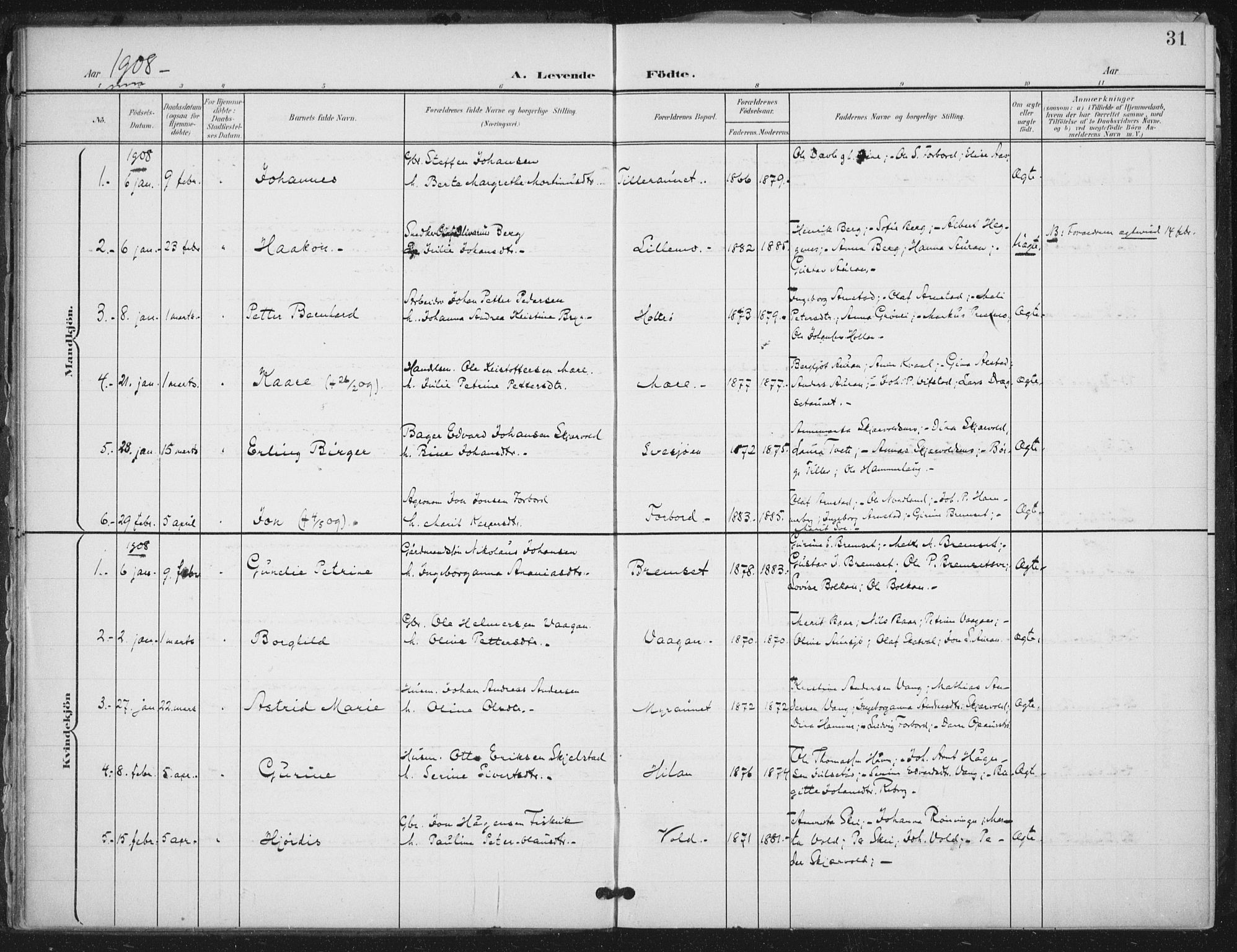 Ministerialprotokoller, klokkerbøker og fødselsregistre - Nord-Trøndelag, SAT/A-1458/712/L0101: Parish register (official) no. 712A02, 1901-1916, p. 31