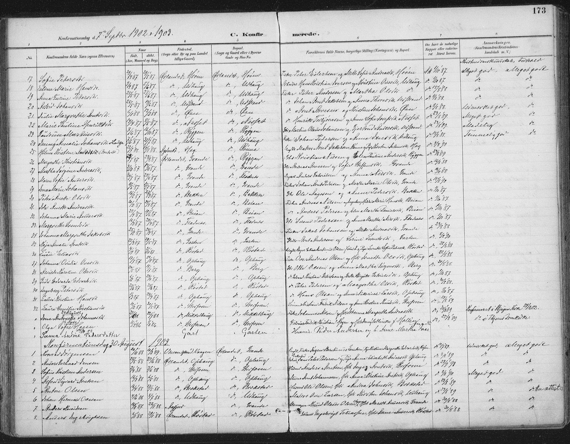 Ministerialprotokoller, klokkerbøker og fødselsregistre - Sør-Trøndelag, SAT/A-1456/659/L0743: Parish register (official) no. 659A13, 1893-1910, p. 173