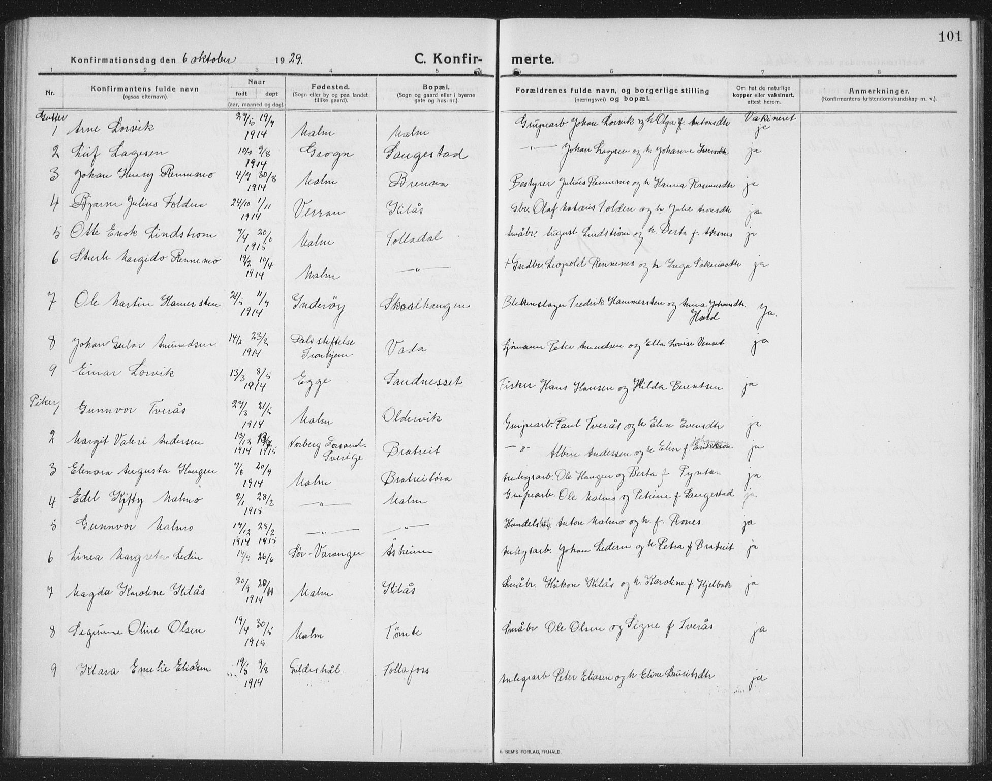 Ministerialprotokoller, klokkerbøker og fødselsregistre - Nord-Trøndelag, SAT/A-1458/745/L0434: Parish register (copy) no. 745C03, 1914-1937, p. 101