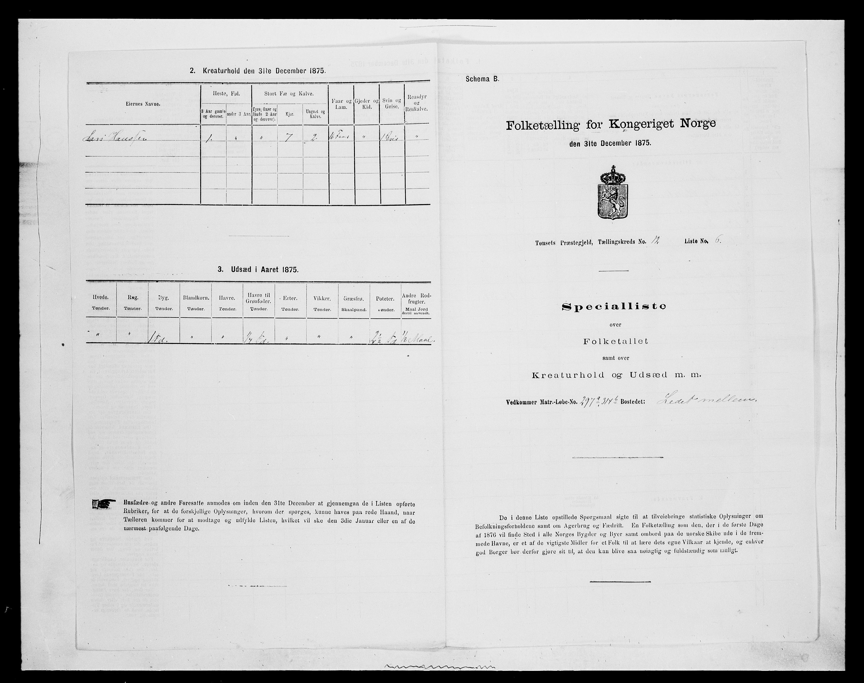 SAH, 1875 census for 0437P Tynset, 1875, p. 1062