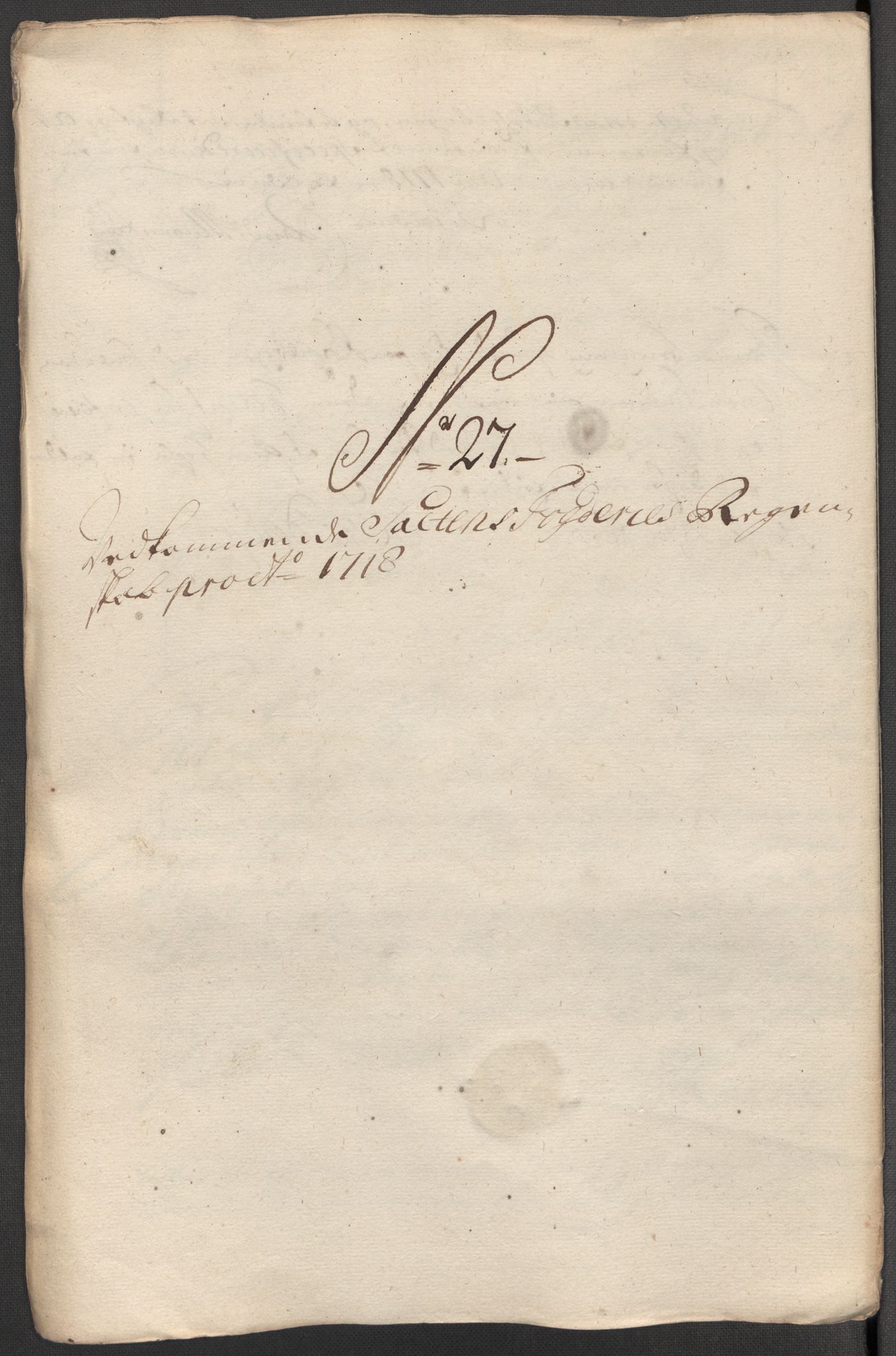 Rentekammeret inntil 1814, Reviderte regnskaper, Fogderegnskap, AV/RA-EA-4092/R66/L4588: Fogderegnskap Salten, 1718, p. 261