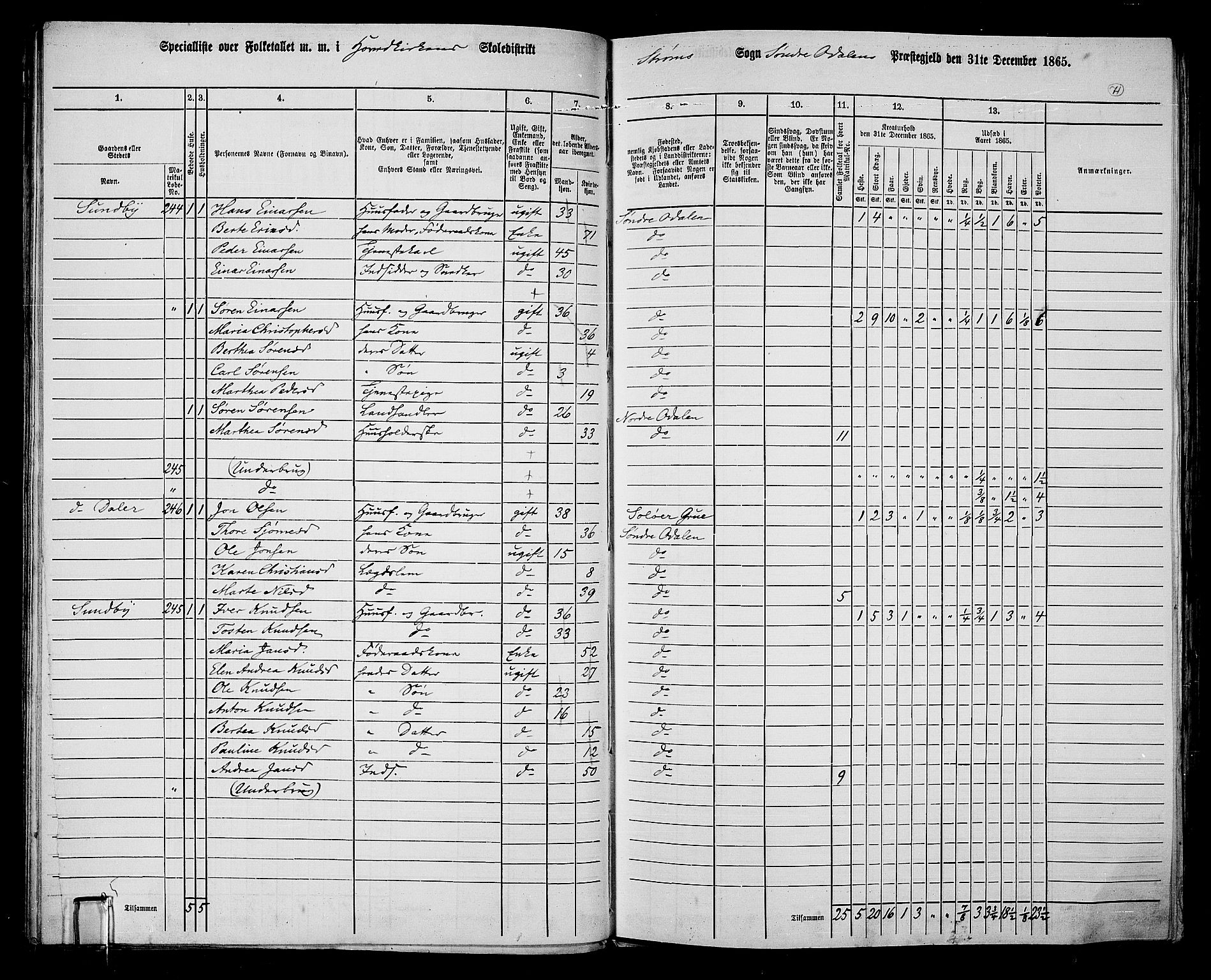 RA, 1865 census for Sør-Odal, 1865, p. 61