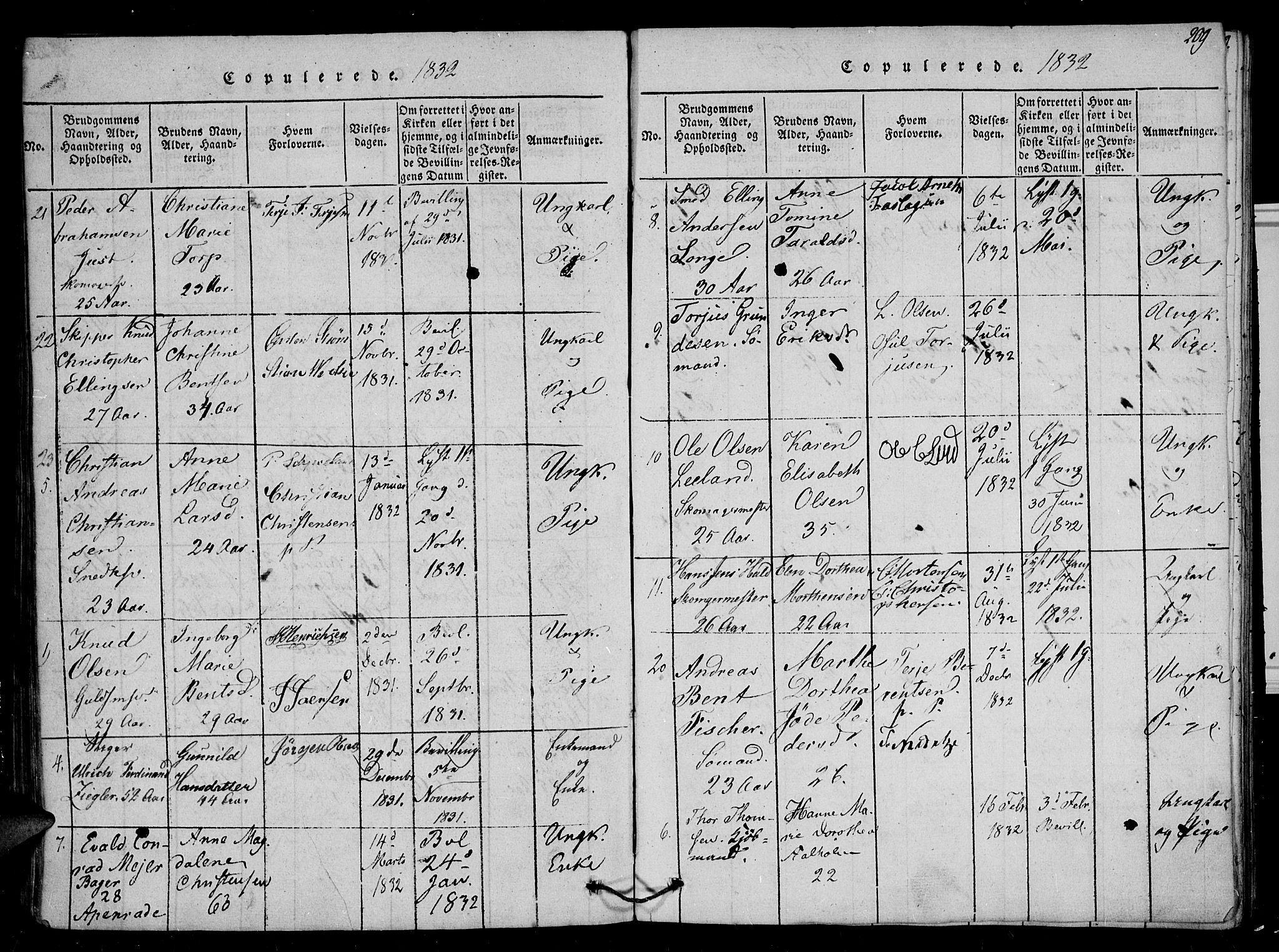 Arendal sokneprestkontor, Trefoldighet, SAK/1111-0040/F/Fb/L0001: Parish register (copy) no. B 1, 1816-1838, p. 209