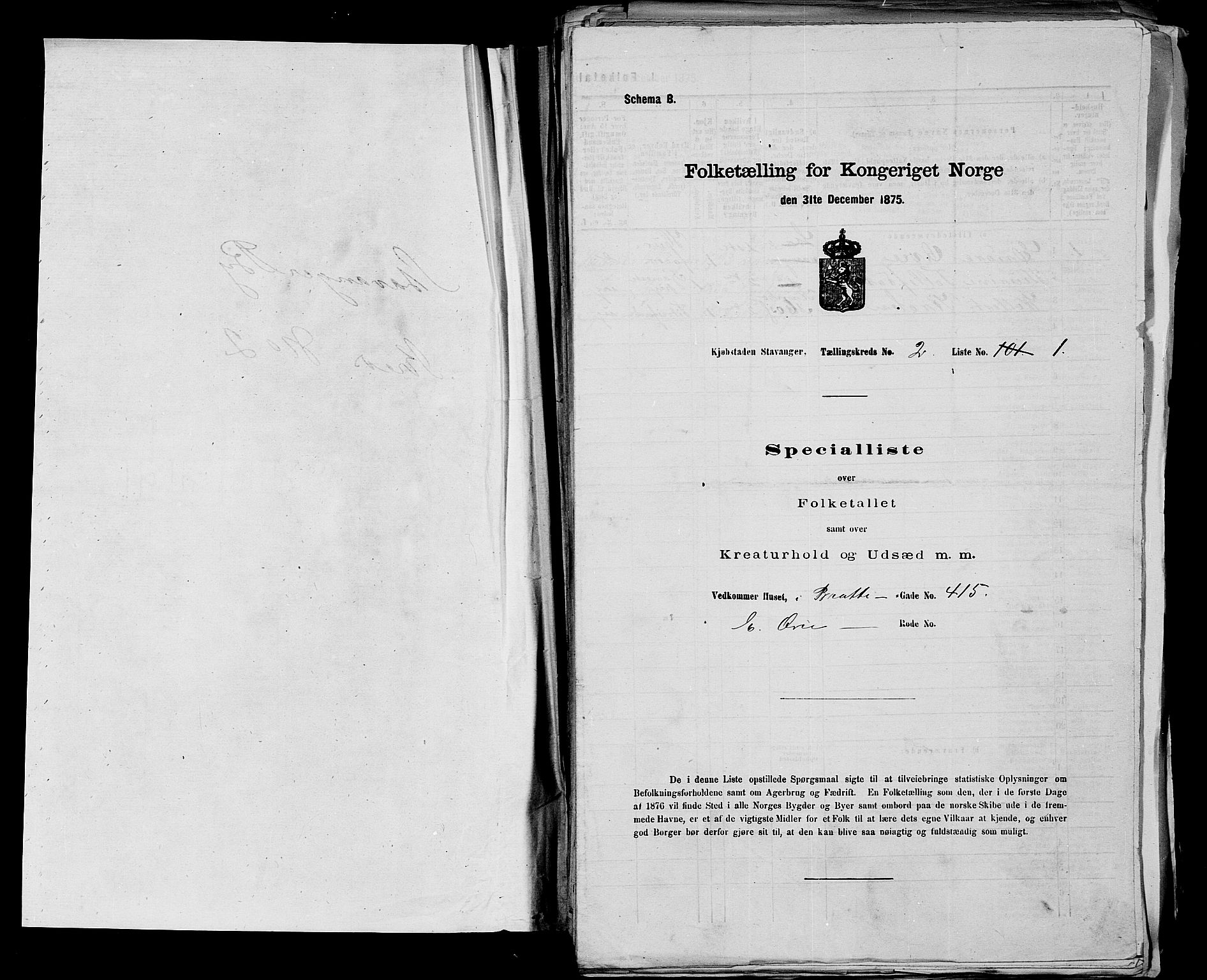 SAST, 1875 census for 1103 Stavanger, 1875, p. 215