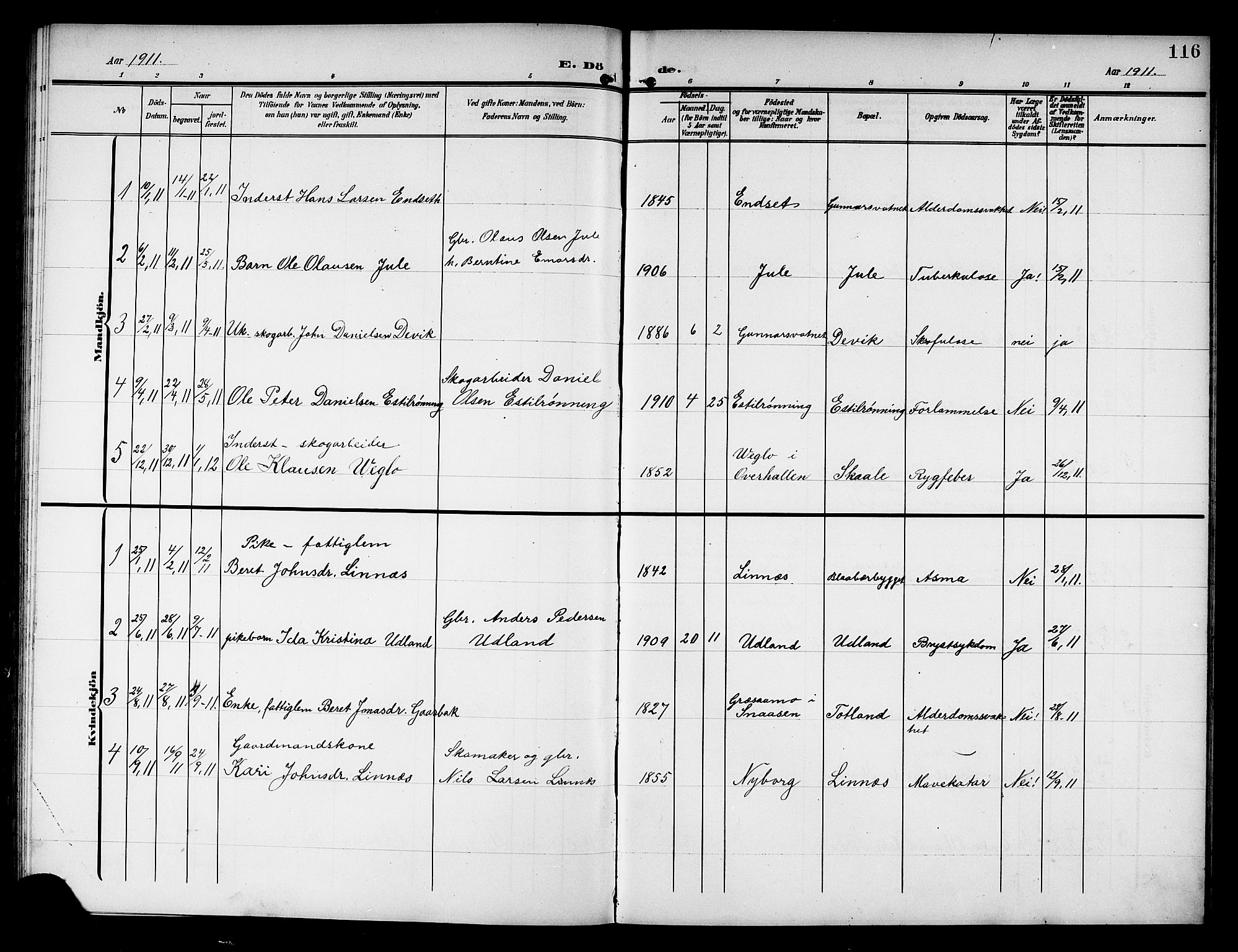 Ministerialprotokoller, klokkerbøker og fødselsregistre - Nord-Trøndelag, SAT/A-1458/757/L0506: Parish register (copy) no. 757C01, 1904-1922, p. 116