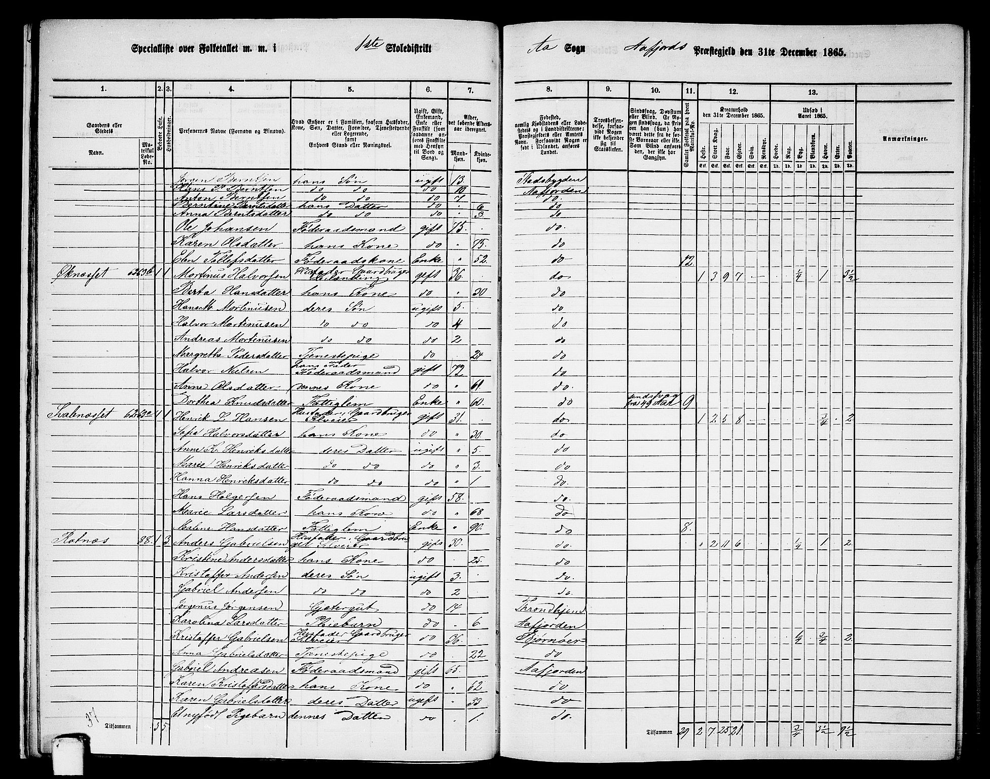 RA, 1865 census for Aafjorden, 1865, p. 15