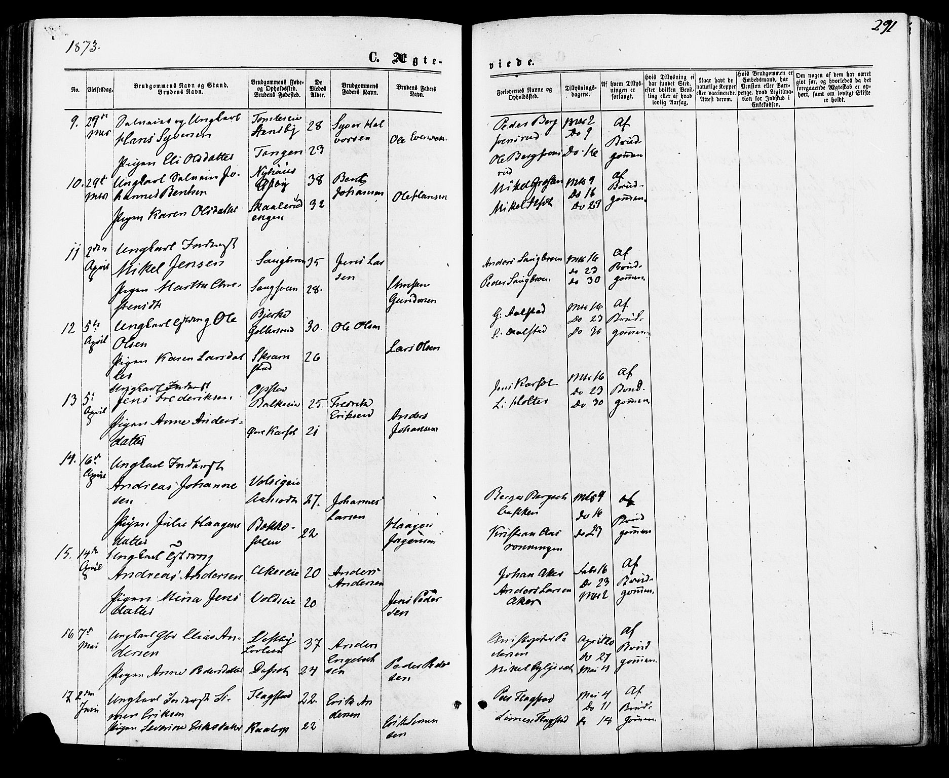 Vang prestekontor, Hedmark, AV/SAH-PREST-008/H/Ha/Haa/L0015: Parish register (official) no. 15, 1871-1885, p. 291