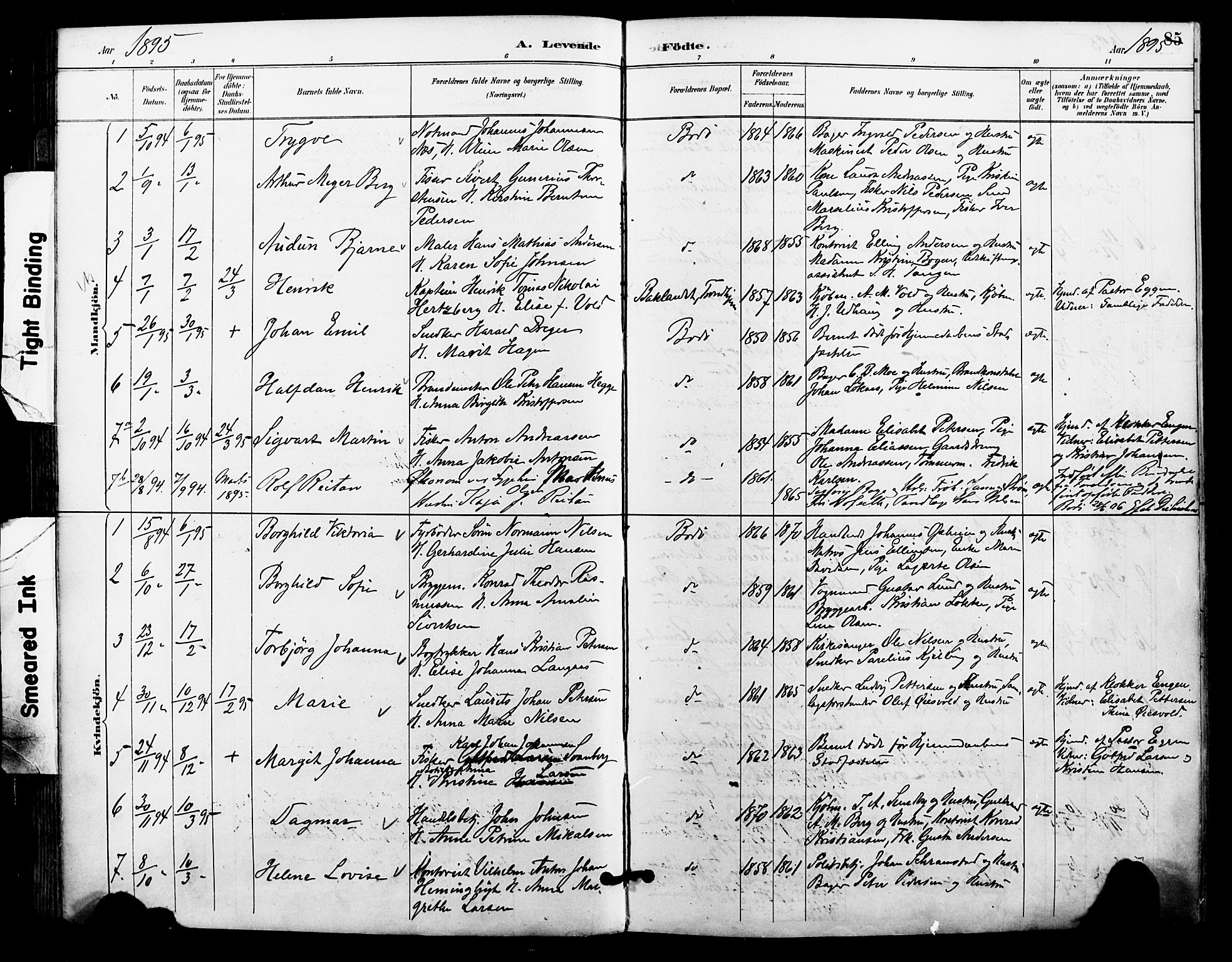 Ministerialprotokoller, klokkerbøker og fødselsregistre - Nordland, SAT/A-1459/801/L0010: Parish register (official) no. 801A10, 1888-1899, p. 85