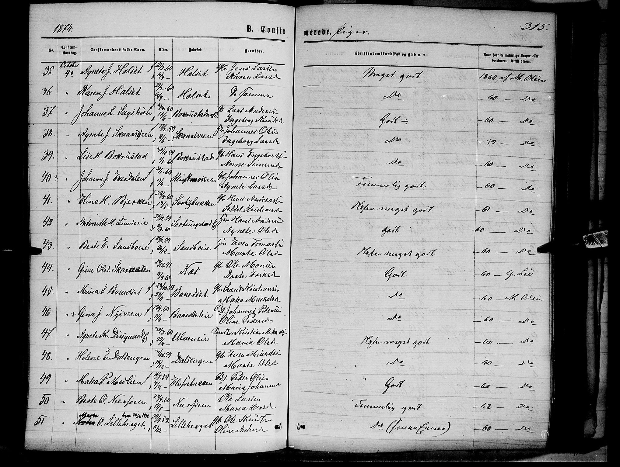 Ringsaker prestekontor, AV/SAH-PREST-014/K/Ka/L0011: Parish register (official) no. 11, 1870-1878, p. 315