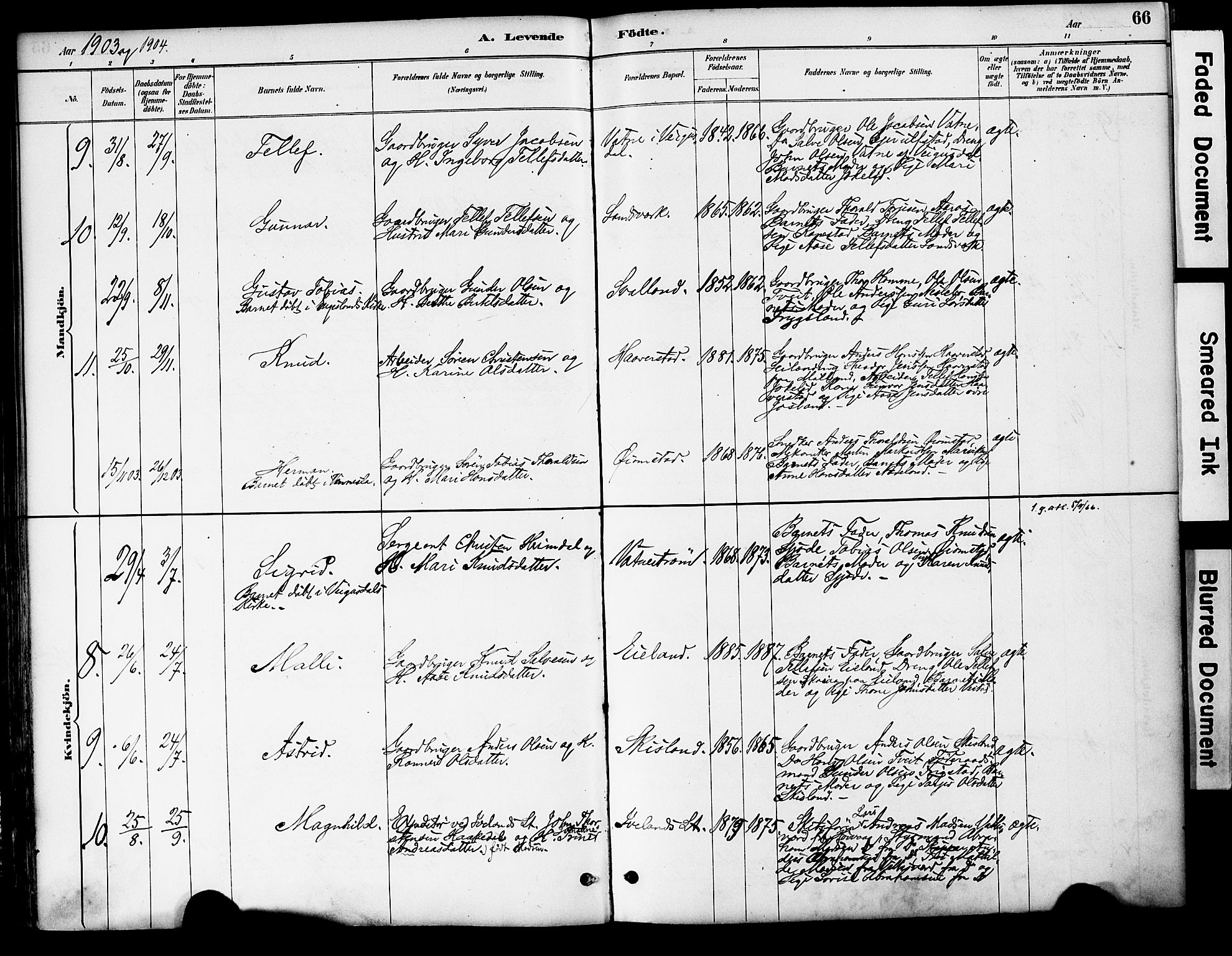 Evje sokneprestkontor, AV/SAK-1111-0008/F/Fa/Fac/L0003: Parish register (official) no. A 3, 1884-1909, p. 66