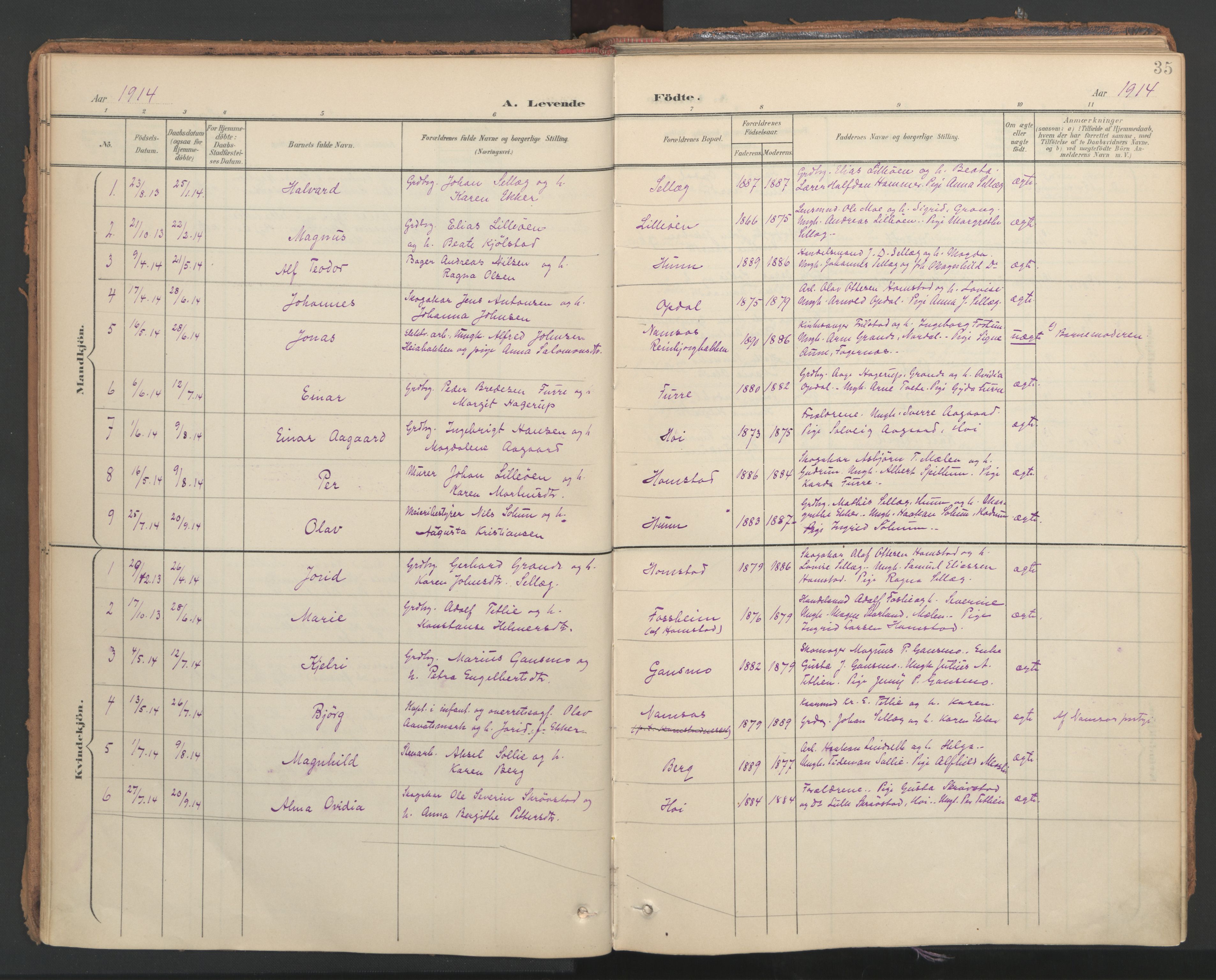 Ministerialprotokoller, klokkerbøker og fødselsregistre - Nord-Trøndelag, AV/SAT-A-1458/766/L0564: Parish register (official) no. 767A02, 1900-1932, p. 35