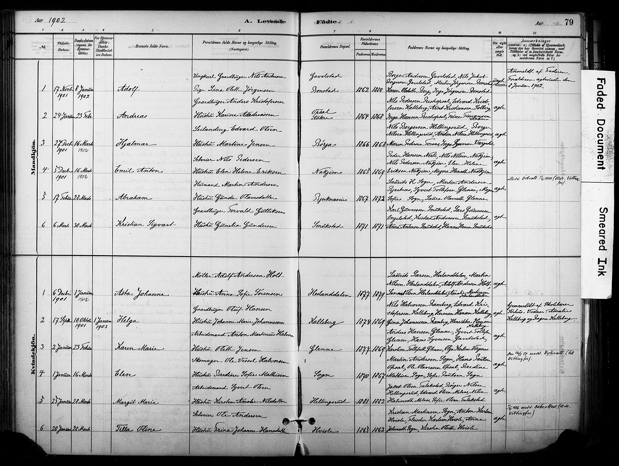 Lardal kirkebøker, SAKO/A-350/F/Fb/L0001: Parish register (official) no. II 1, 1881-1911, p. 79