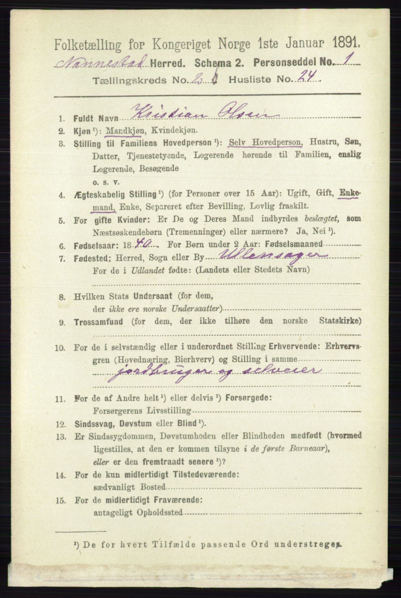 RA, 1891 census for 0238 Nannestad, 1891, p. 1273