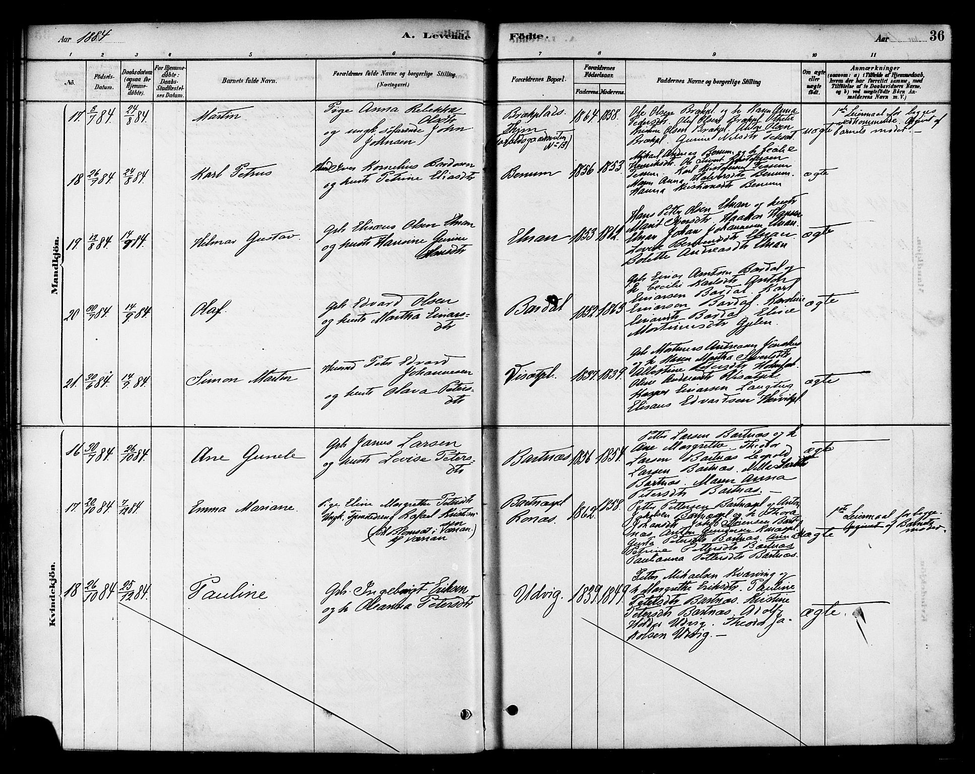 Ministerialprotokoller, klokkerbøker og fødselsregistre - Nord-Trøndelag, AV/SAT-A-1458/741/L0395: Parish register (official) no. 741A09, 1878-1888, p. 36