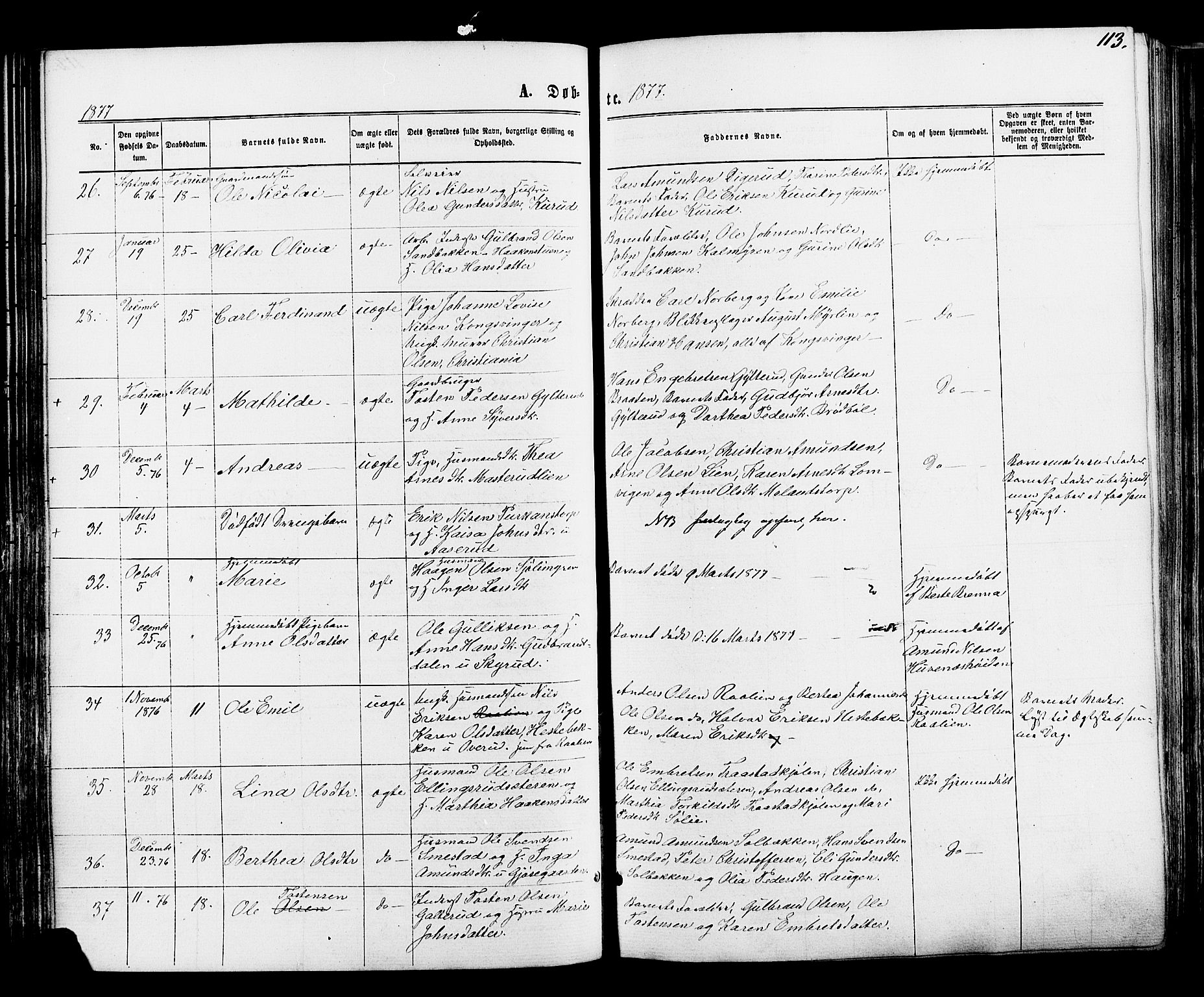 Vinger prestekontor, SAH/PREST-024/H/Ha/Haa/L0012: Parish register (official) no. 12, 1871-1880, p. 113