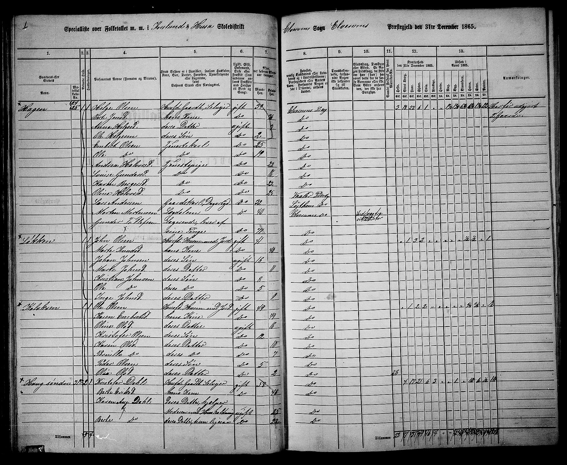 RA, 1865 census for Elverum, 1865, p. 51