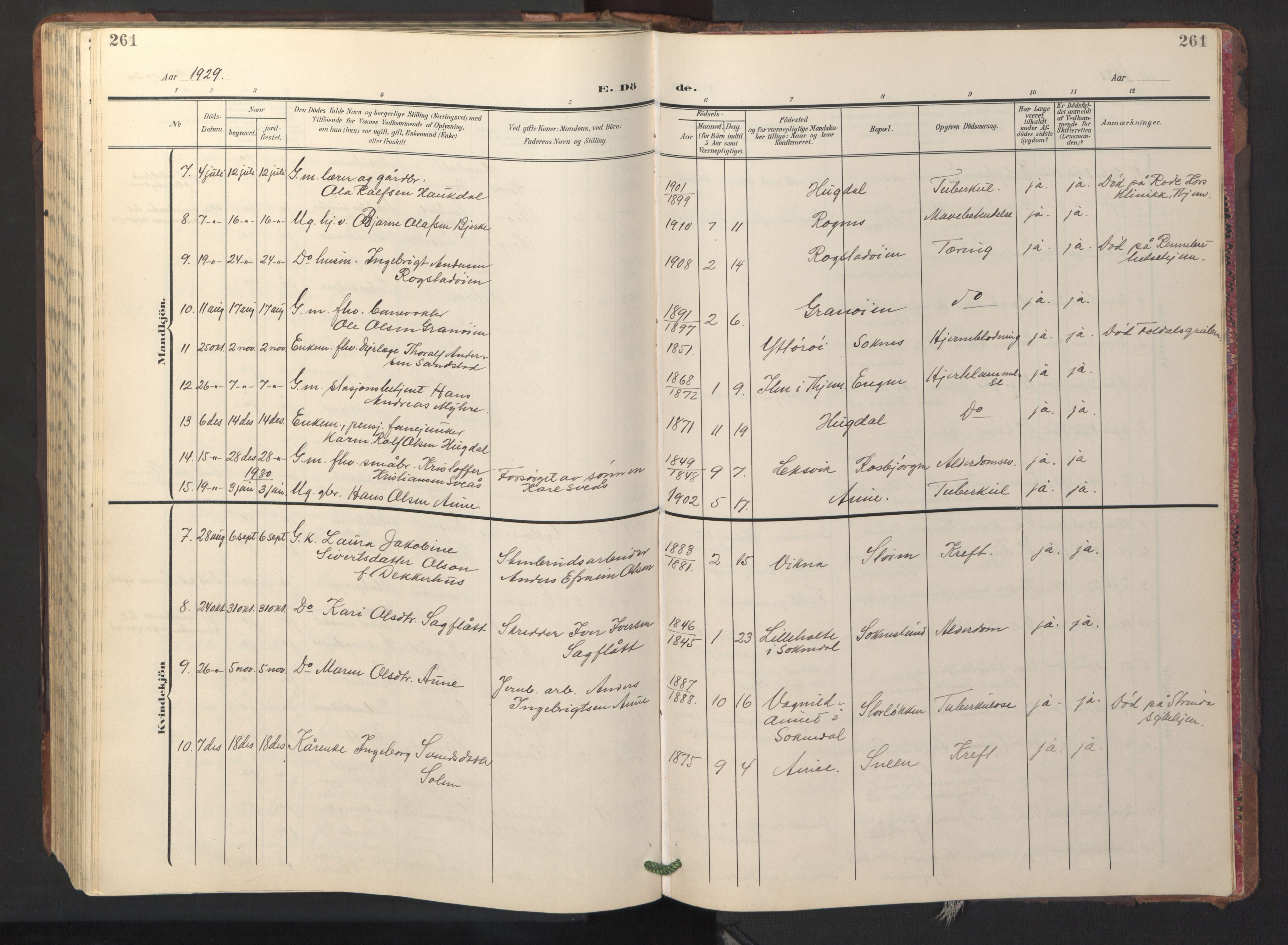 Ministerialprotokoller, klokkerbøker og fødselsregistre - Sør-Trøndelag, SAT/A-1456/687/L1019: Parish register (copy) no. 687C03, 1904-1931, p. 261