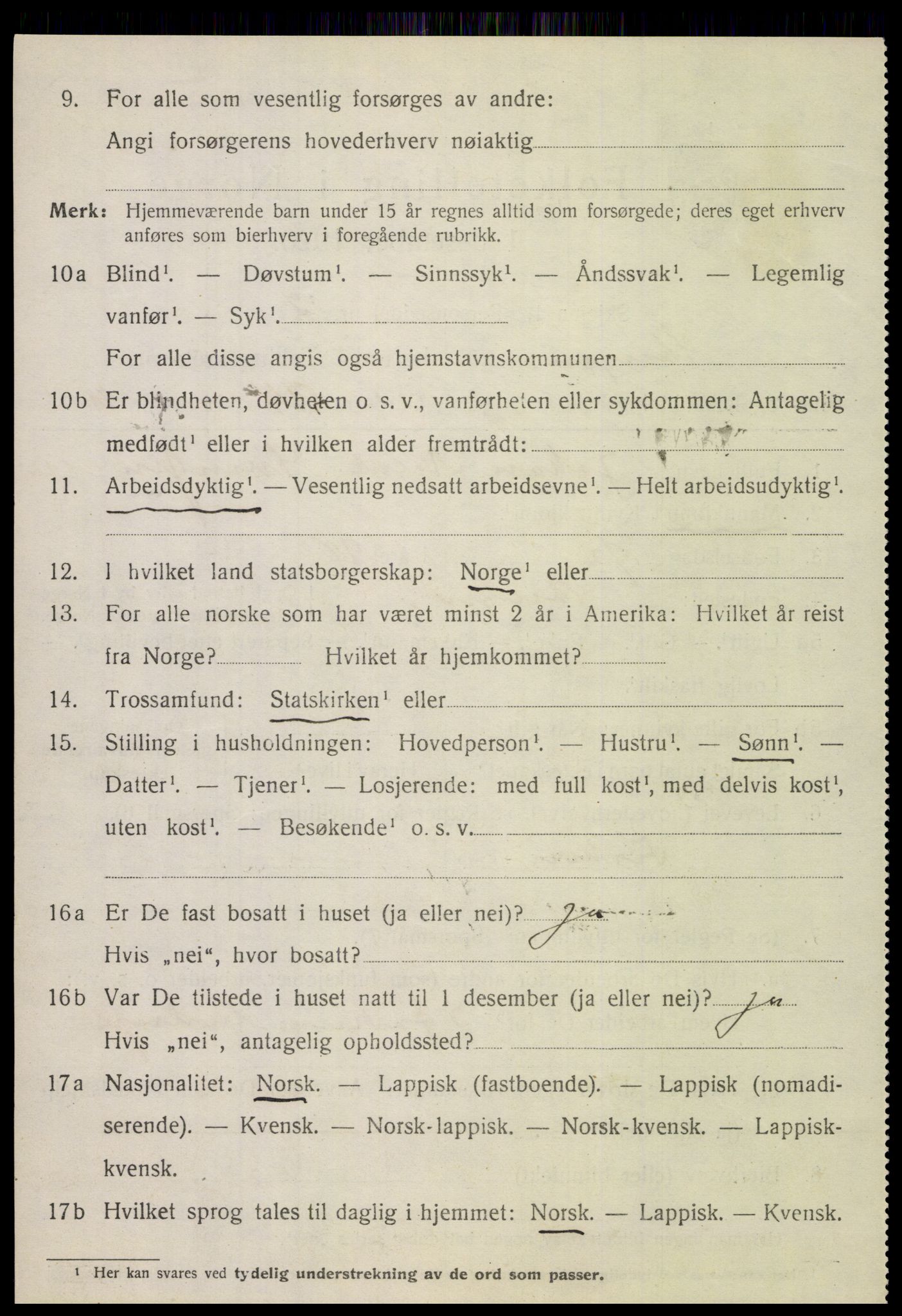 SAT, 1920 census for Steigen, 1920, p. 3245