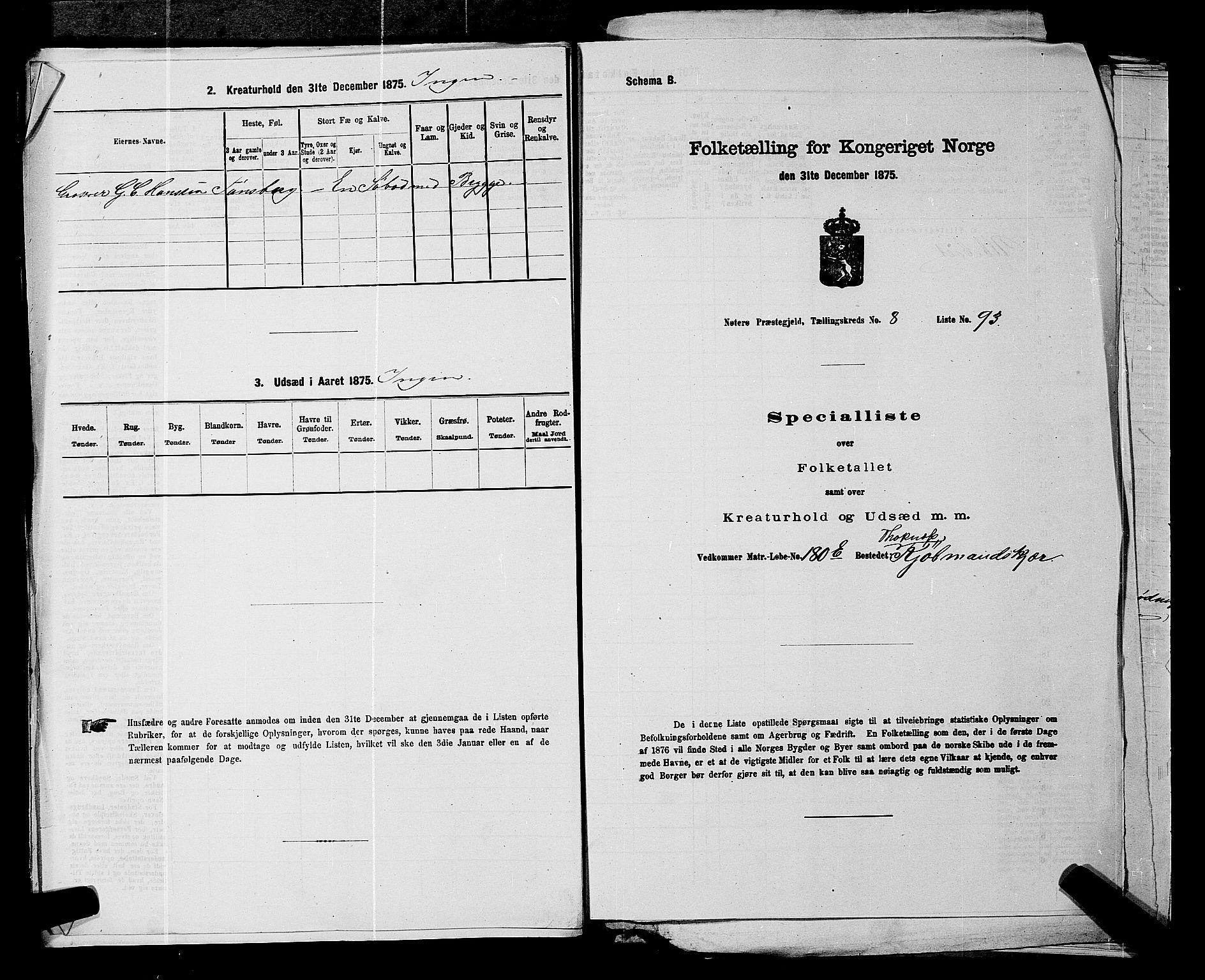 SAKO, 1875 census for 0722P Nøtterøy, 1875, p. 1729