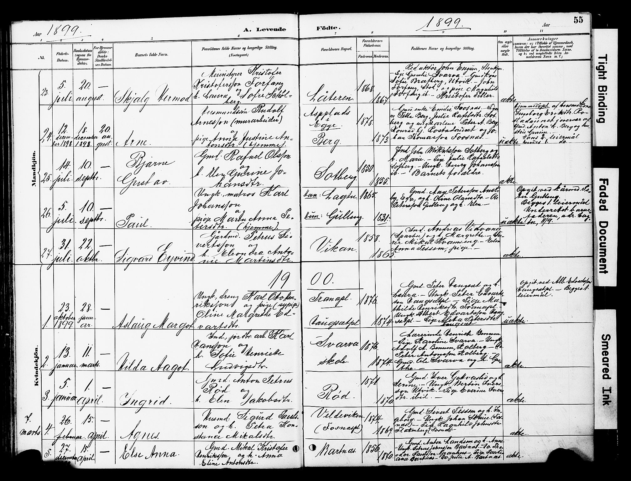 Ministerialprotokoller, klokkerbøker og fødselsregistre - Nord-Trøndelag, SAT/A-1458/741/L0396: Parish register (official) no. 741A10, 1889-1901, p. 55