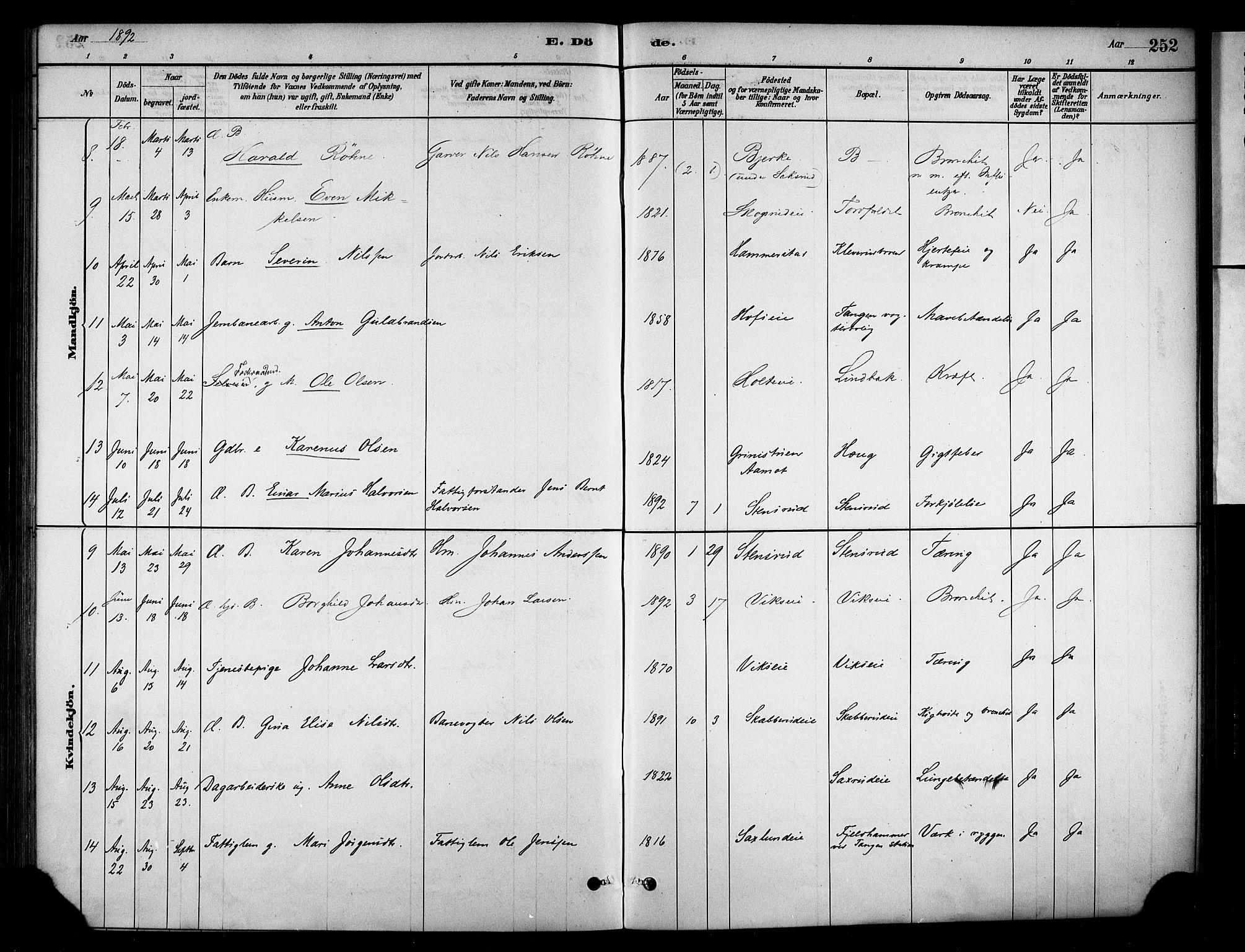 Stange prestekontor, AV/SAH-PREST-002/K/L0018: Parish register (official) no. 18, 1880-1896, p. 252