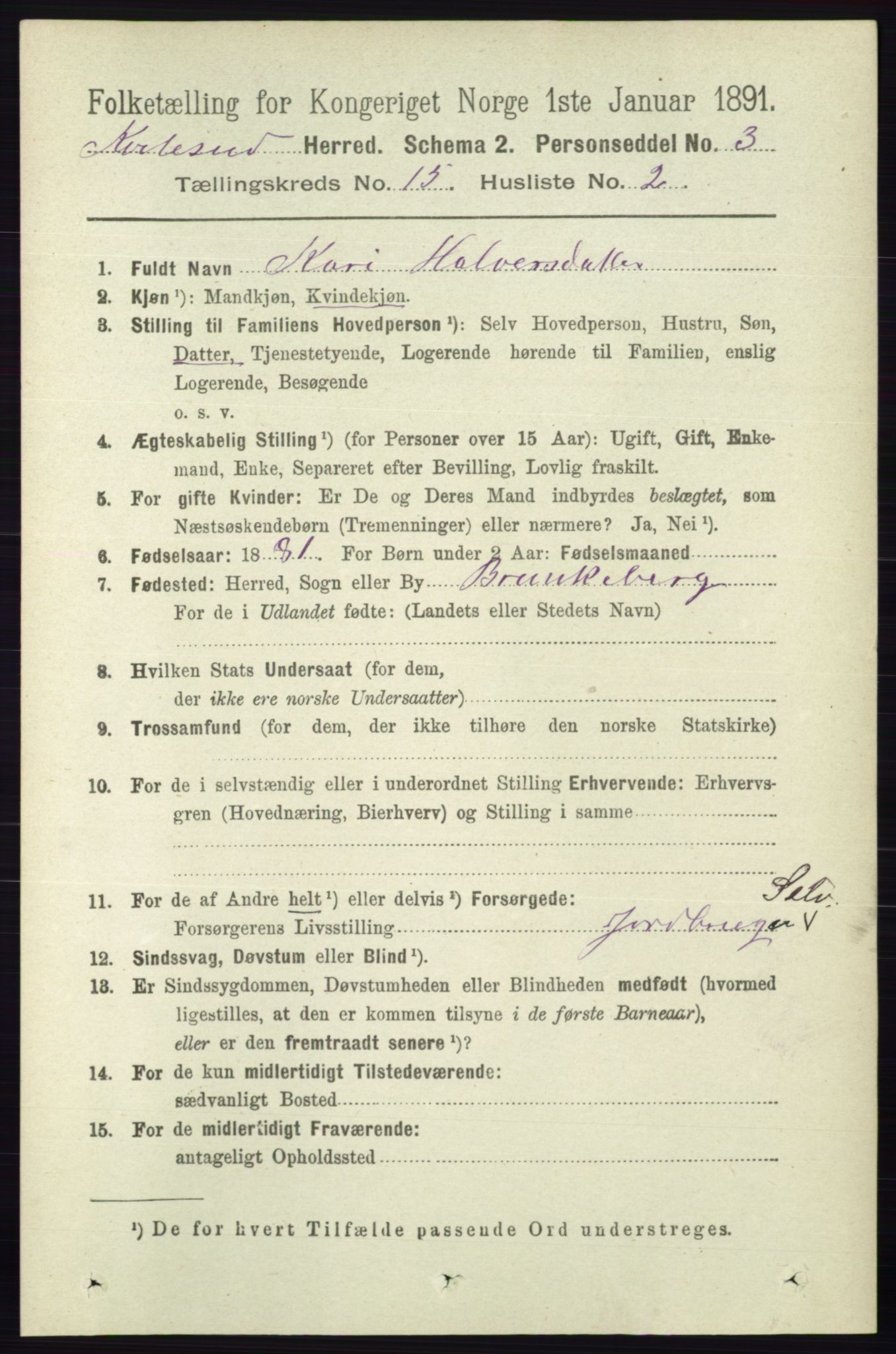 RA, 1891 census for 0829 Kviteseid, 1891, p. 3528