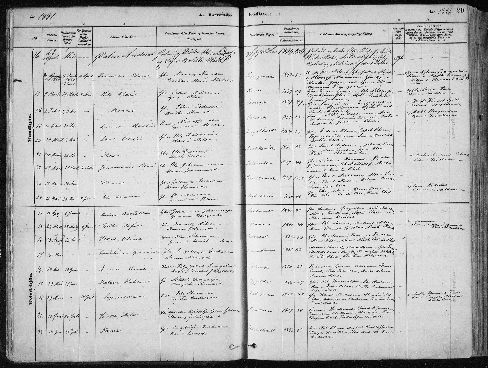 Fjell sokneprestembete, SAB/A-75301/H/Haa: Parish register (official) no. A  8, 1878-1898, p. 20