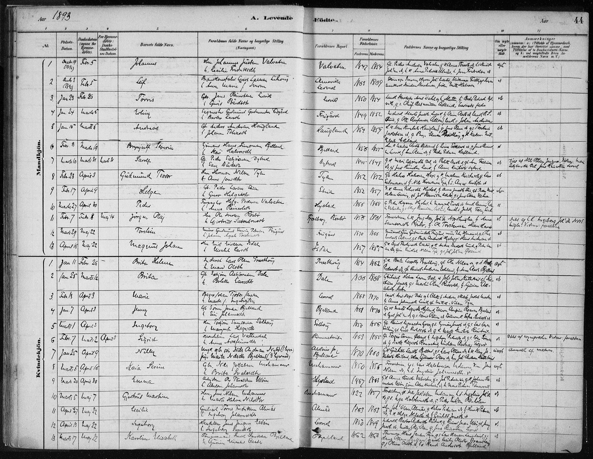 Stord sokneprestembete, SAB/A-78201/H/Haa: Parish register (official) no. B 2, 1878-1913, p. 44